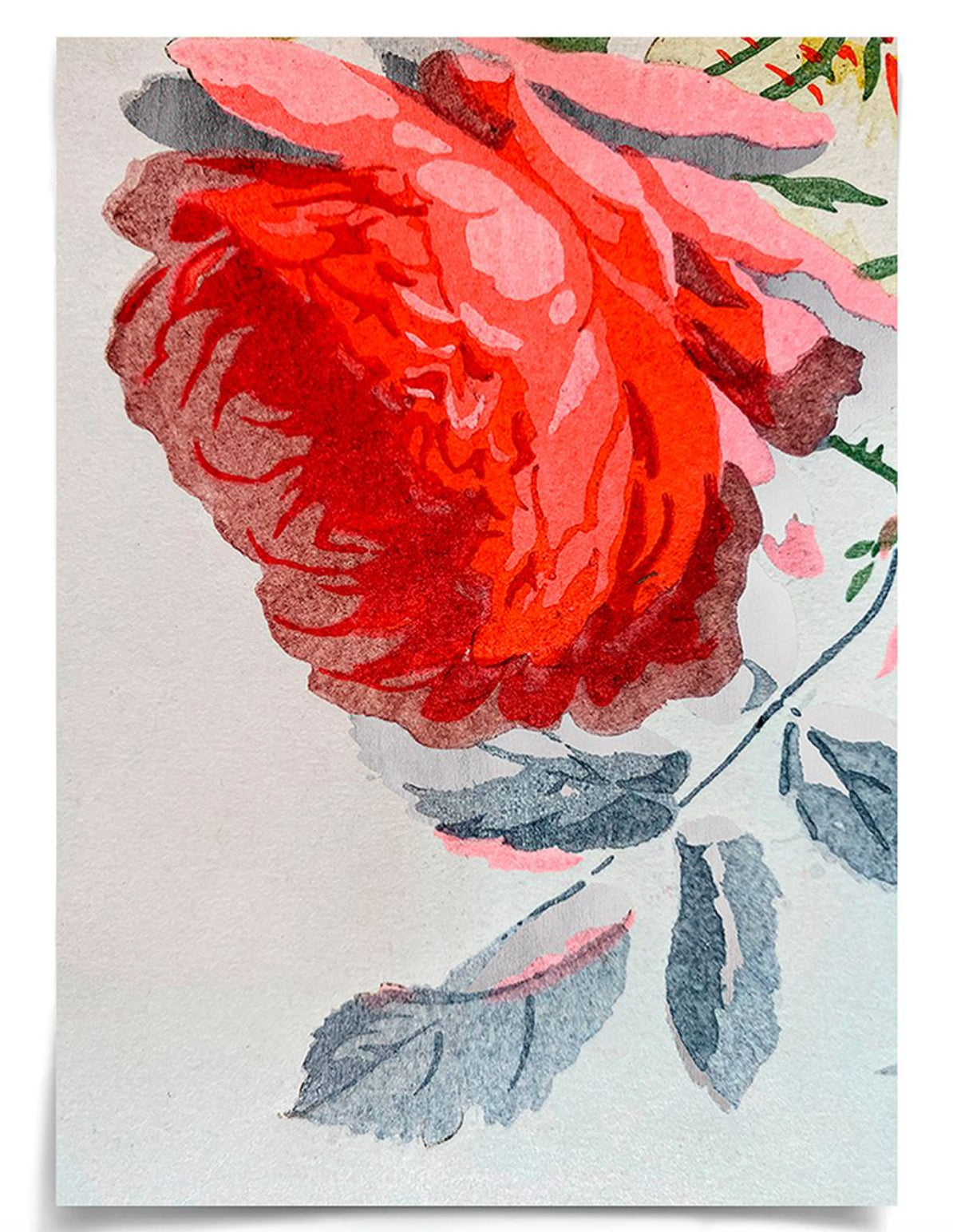 Natural Curiosities Modern Botanical Series 11