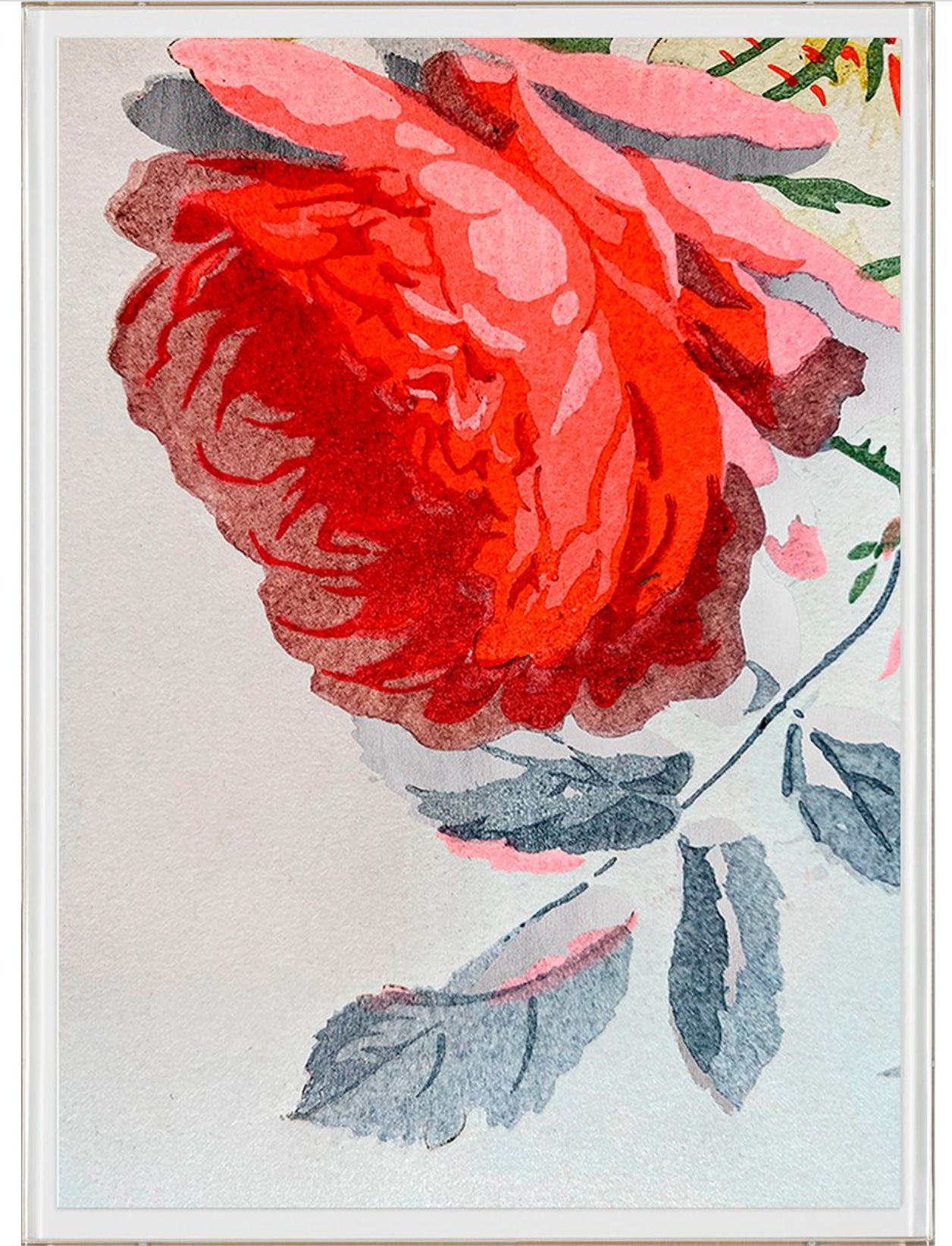 Natural Curiosities Modern Botanical Series 11