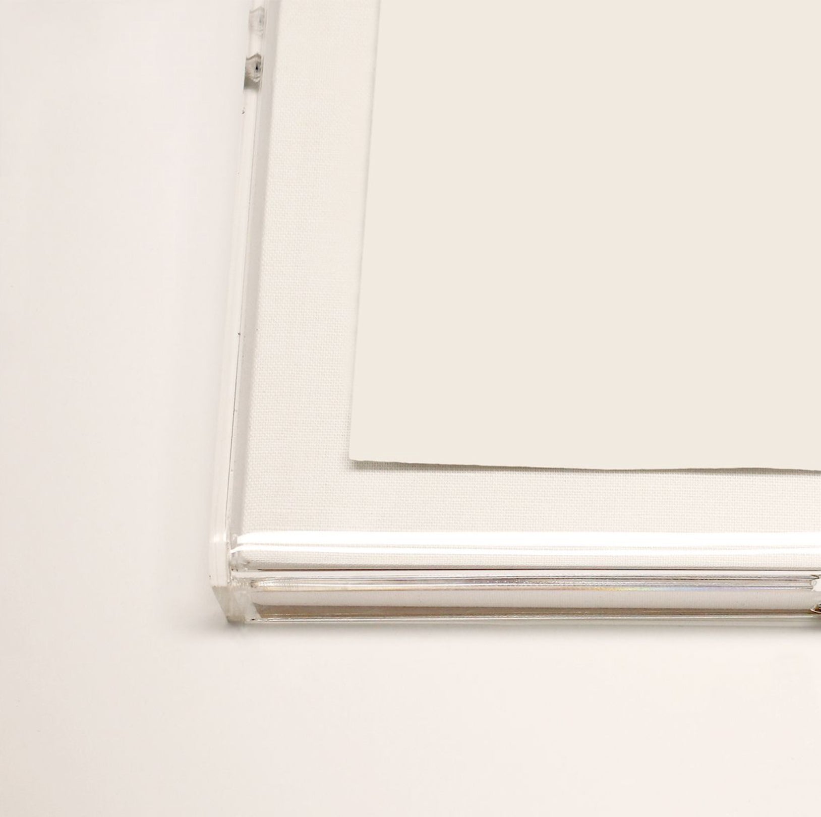 Natural Curiosities Modern Botanical Series 11