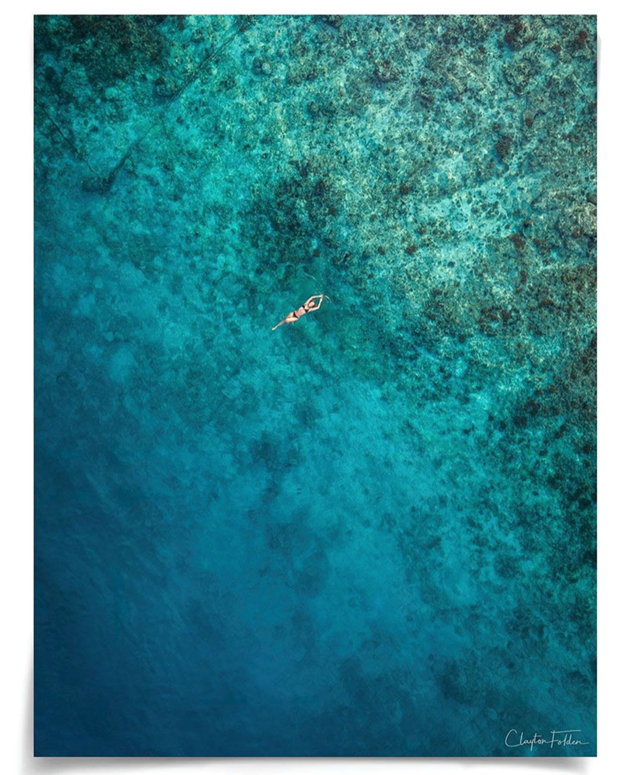 Natural Curiosities Folden 'Float' Art