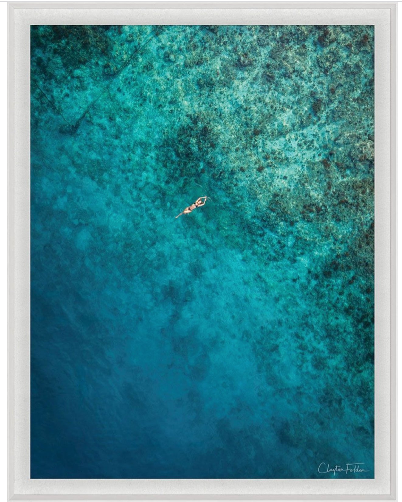 Natural Curiosities Folden 'Float' Art