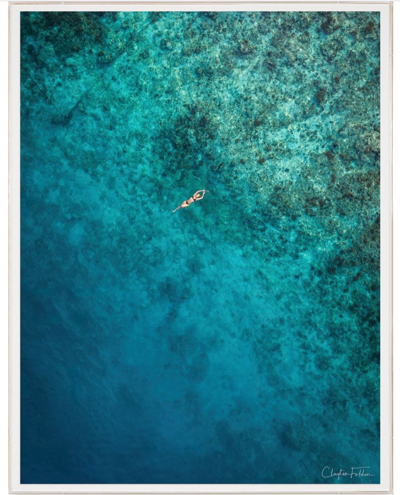 Natural Curiosities Folden 'Float' Art