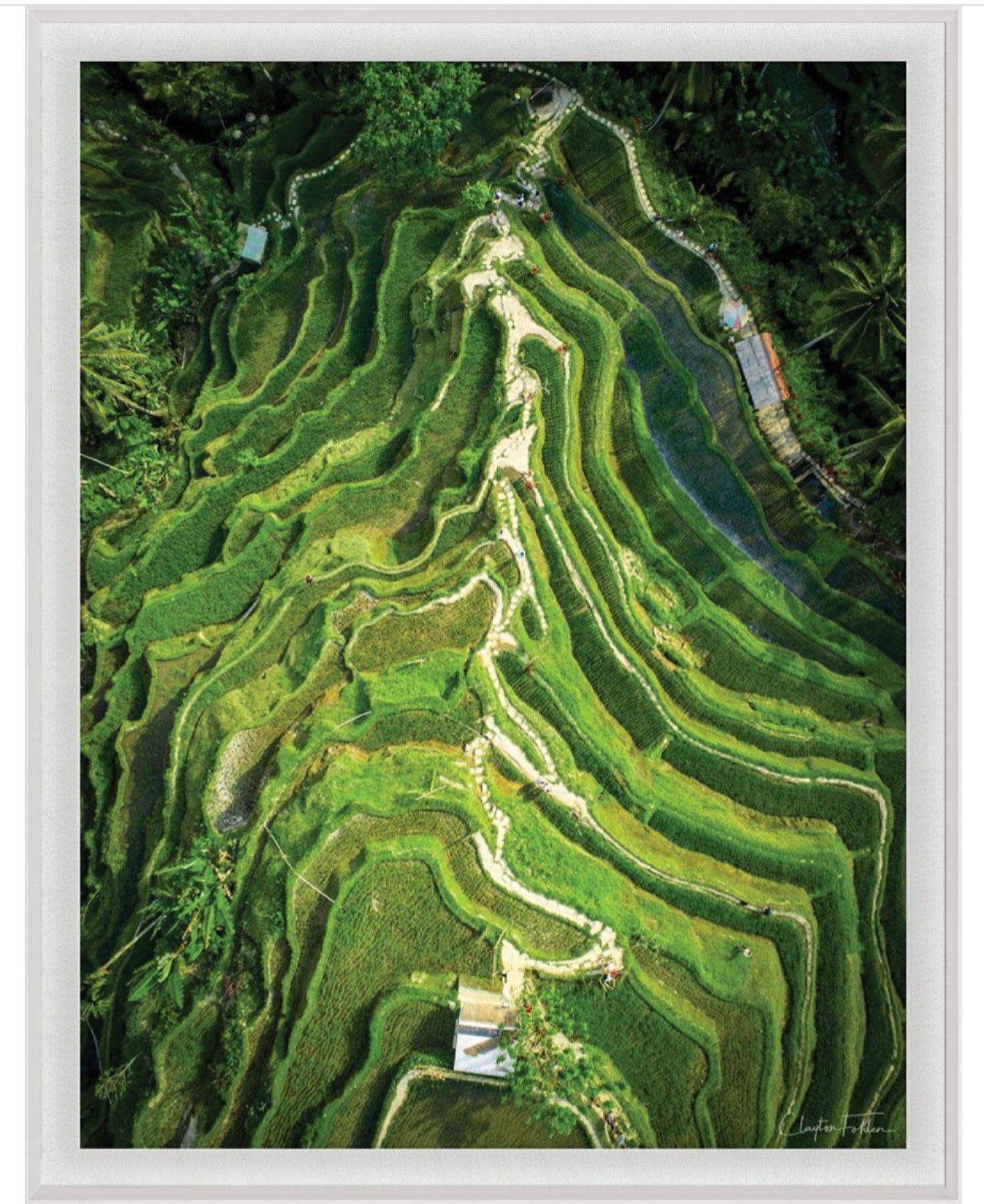 Natural Curiosities Folden 'Stepped' Art