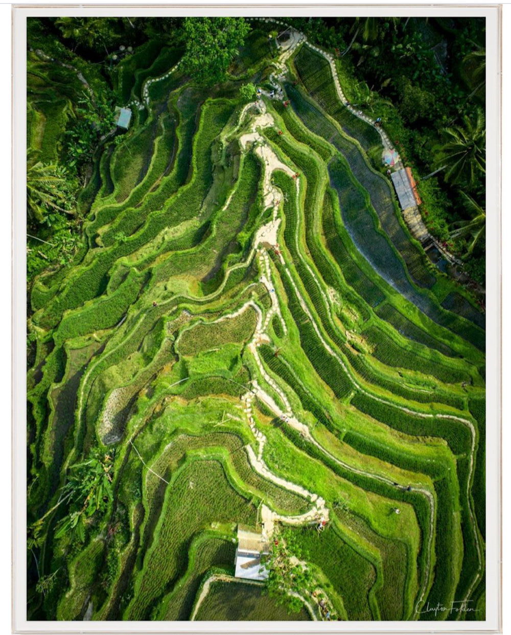 Natural Curiosities Folden 'Stepped' Art