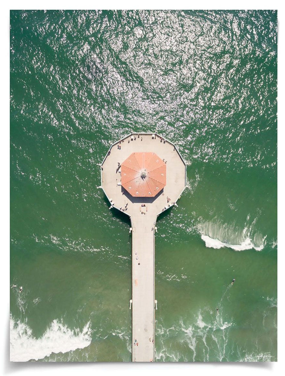 Natural Curiosities Folden, No. 1 Photograph