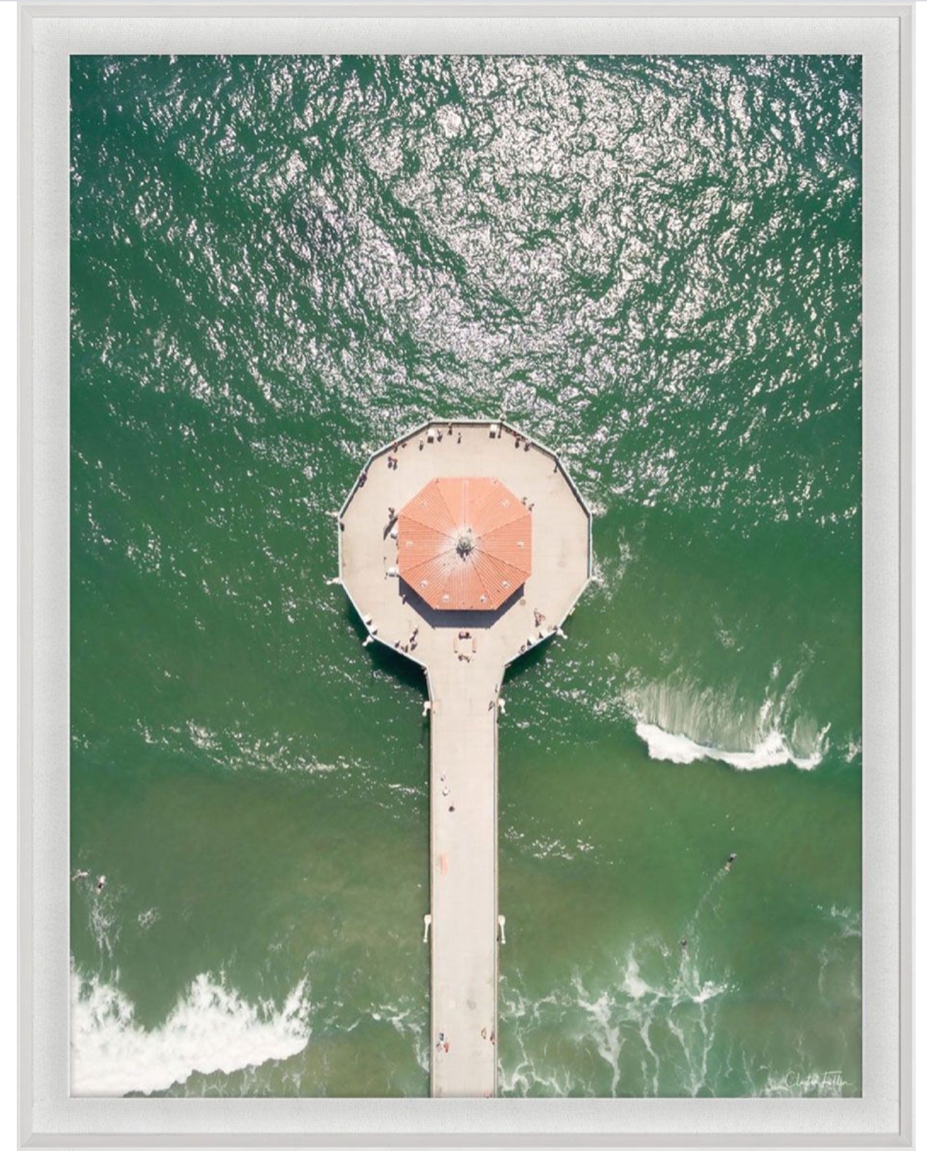 Natural Curiosities Folden, No. 1 Photograph