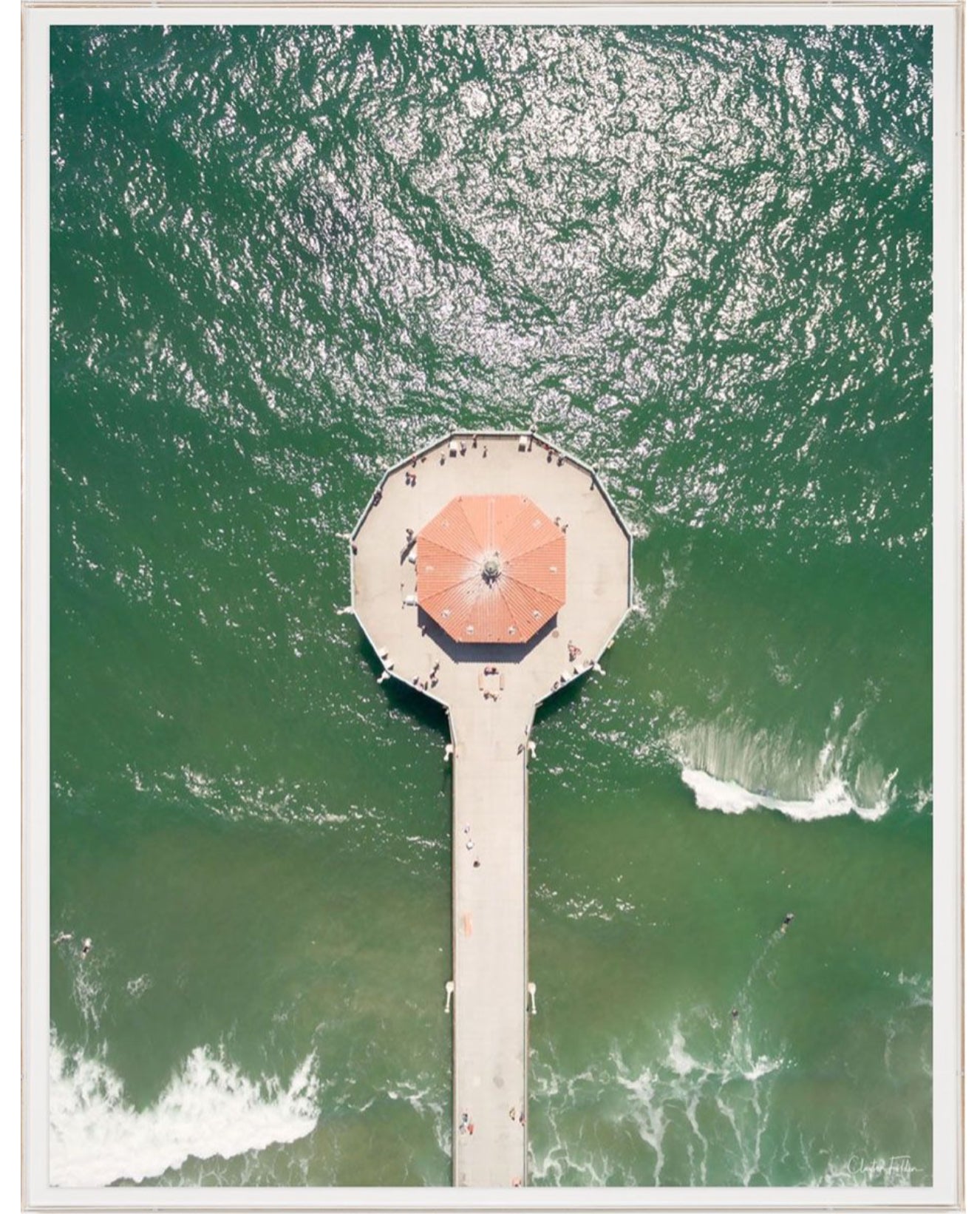 Natural Curiosities Folden, No. 1 Photograph