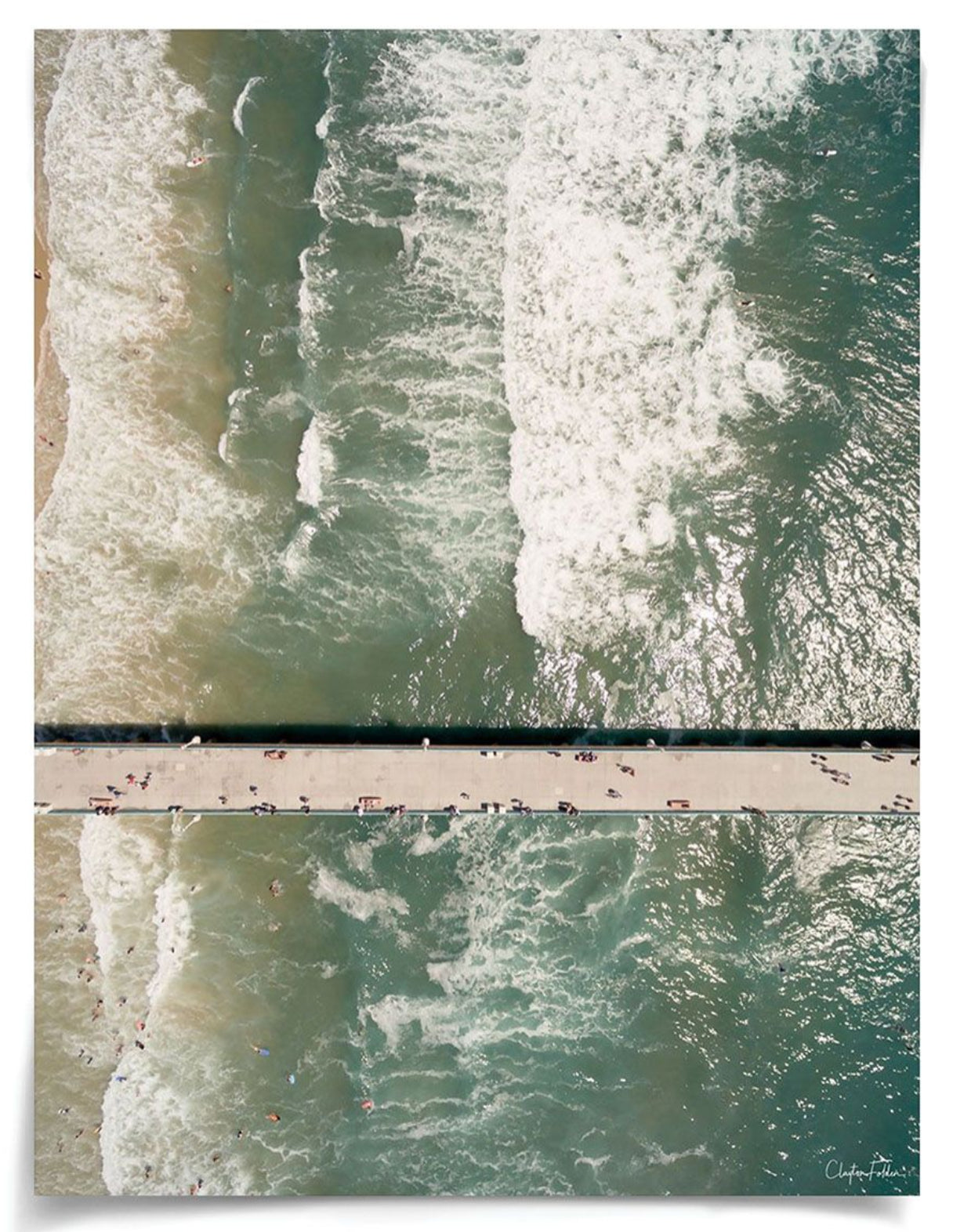 Natural Curiosities Folden No. 2 Photograph