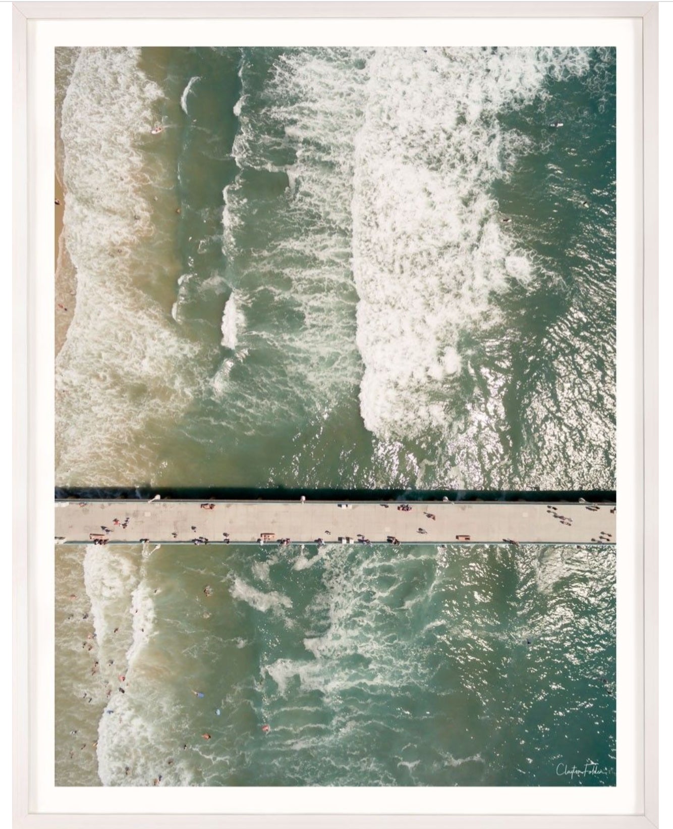 Natural Curiosities Folden No. 2 Photograph