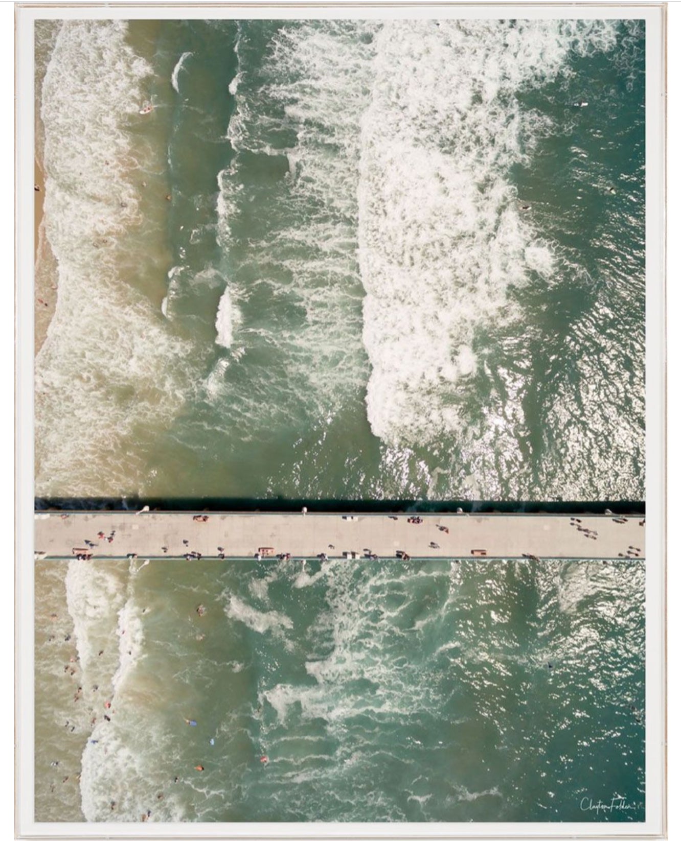 Natural Curiosities Folden No. 2 Photograph