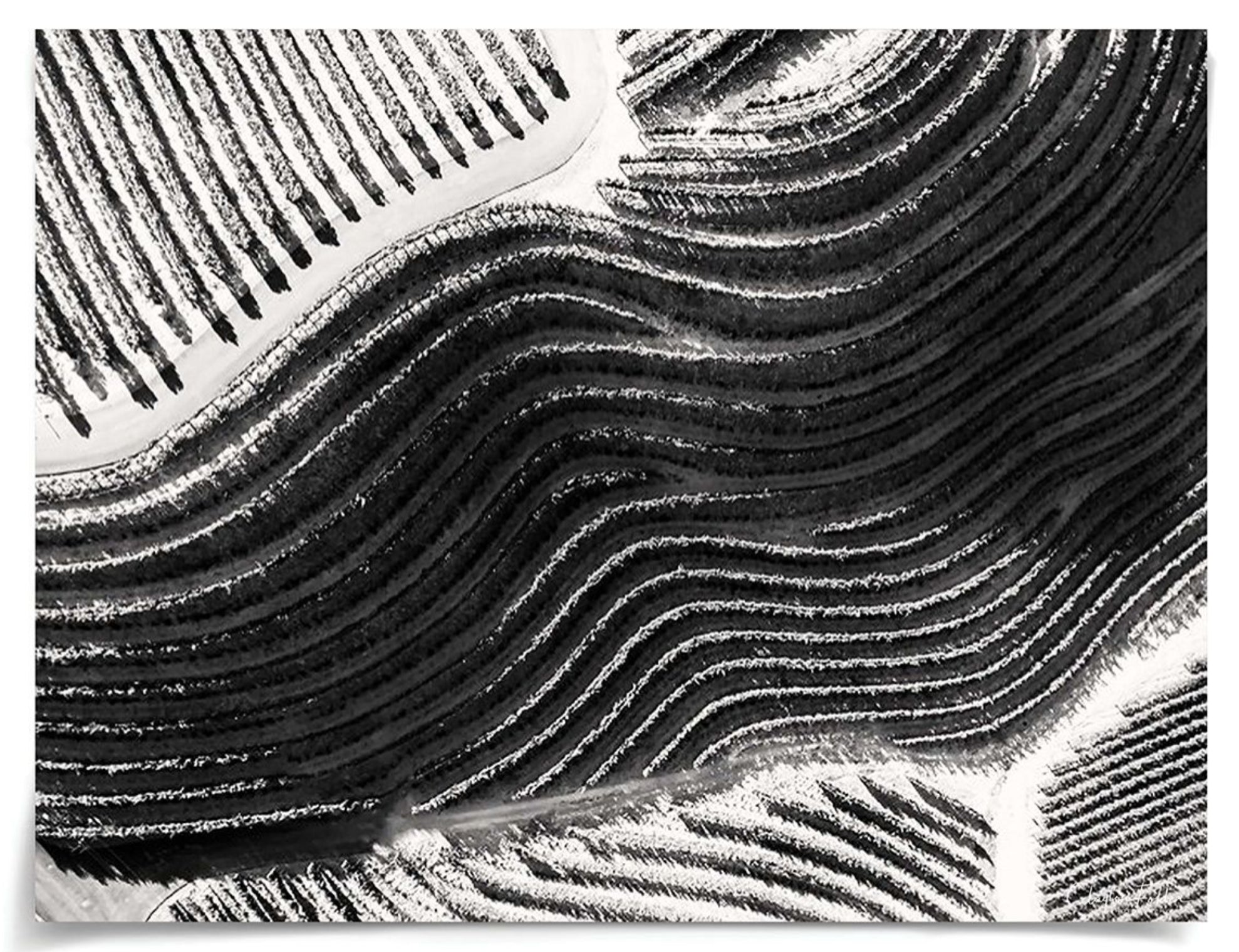 Folden Cinematic Landscape Napa No. 2 Aerial Photograph