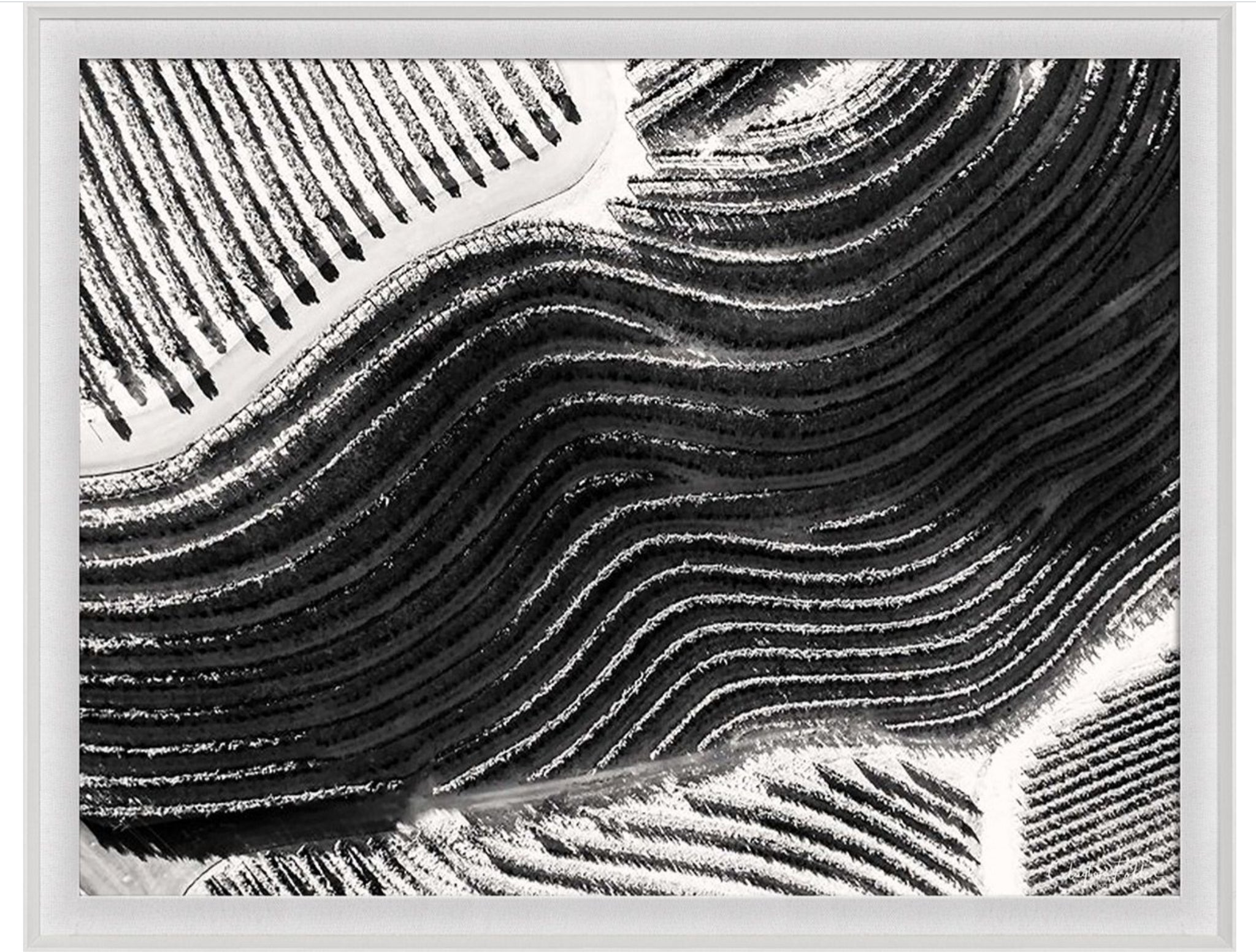 Folden Cinematic Landscape Napa No. 2 Aerial Photograph