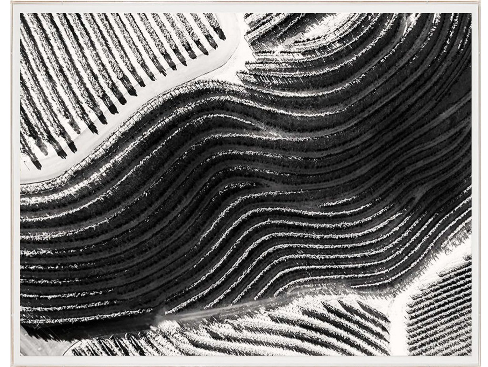 Folden Cinematic Landscape Napa No. 2 Aerial Photograph