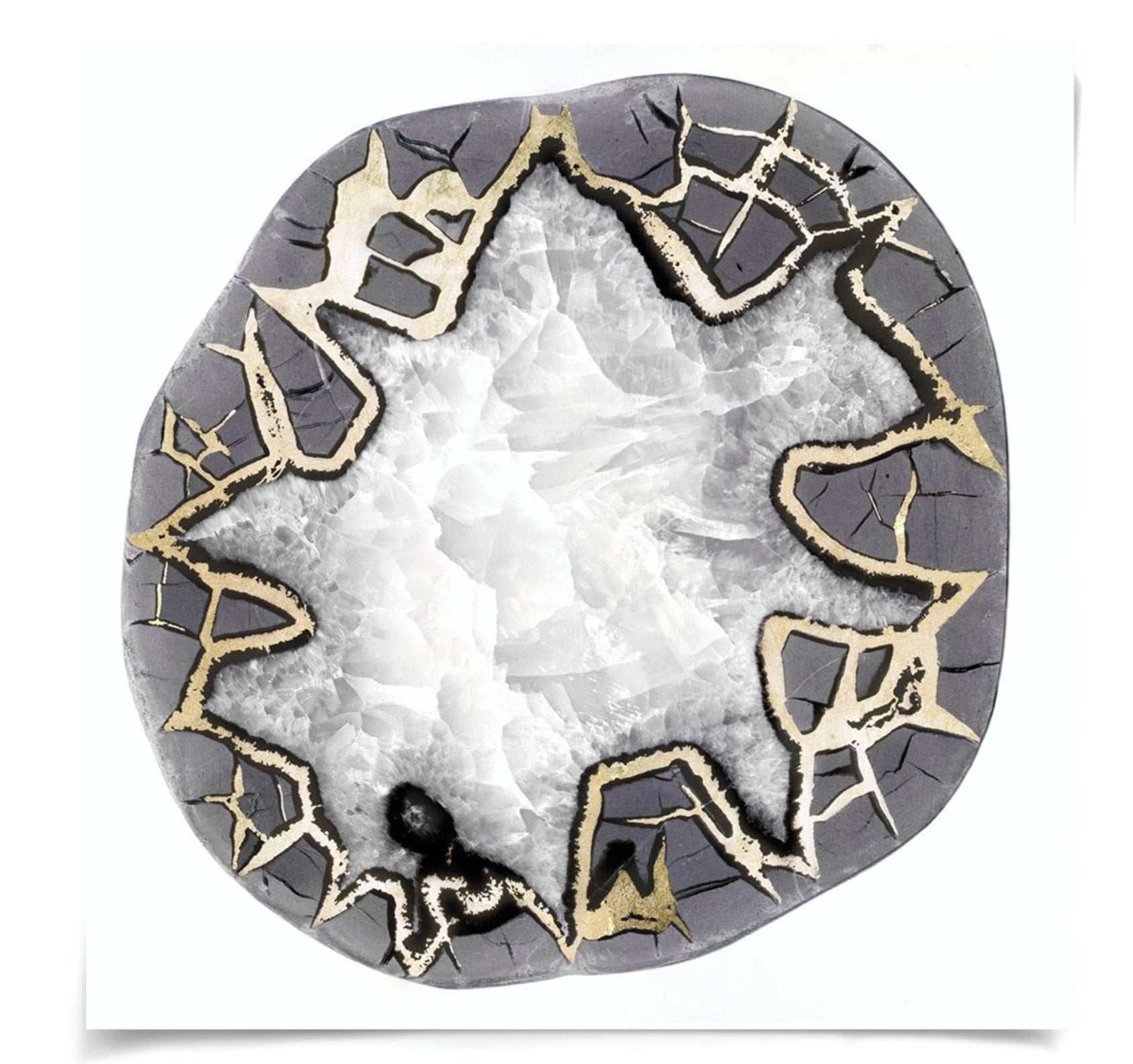 Natural Curiosities Black and White Geode No. 4 Art