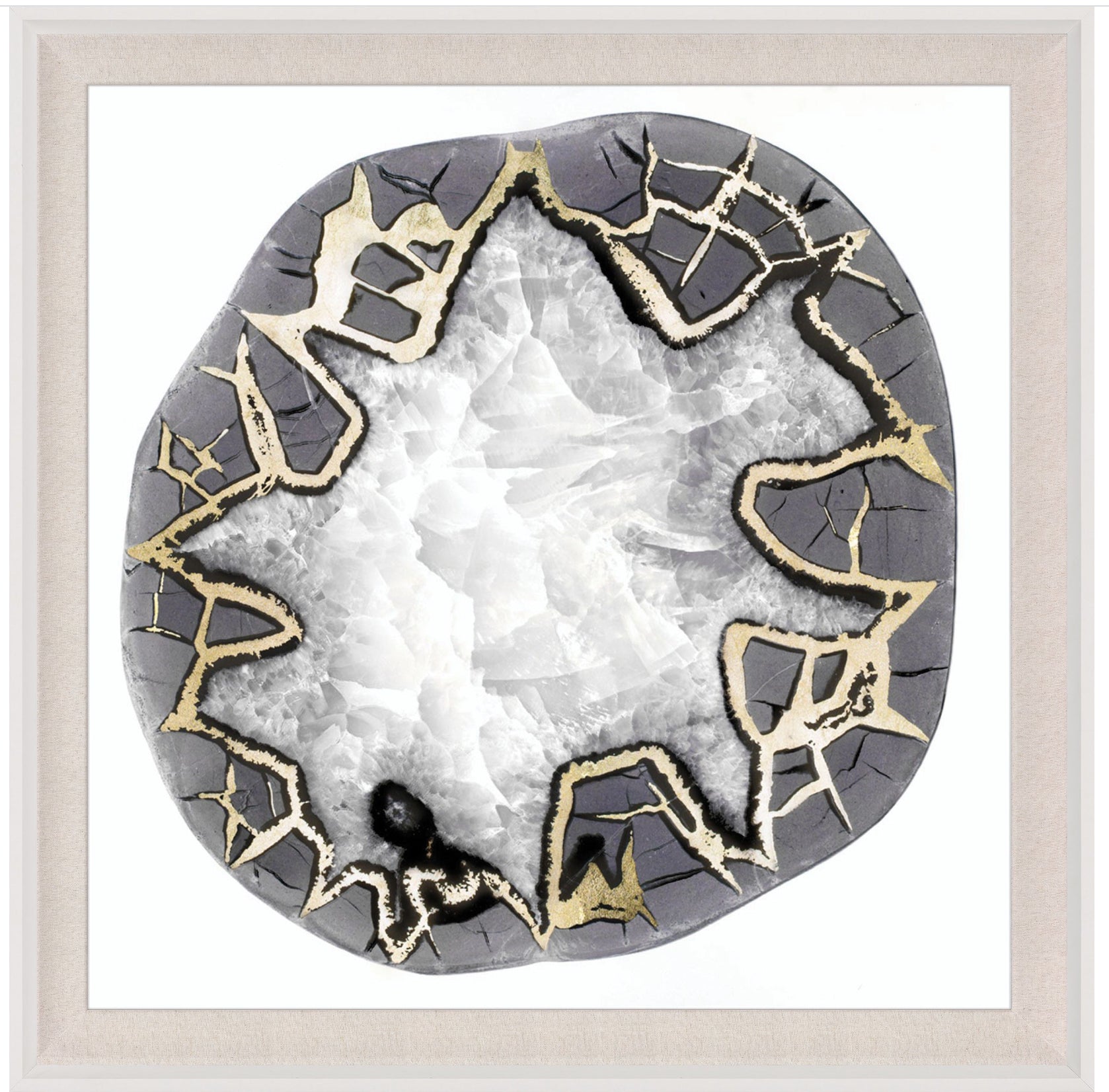 Natural Curiosities Black and White Geode No. 4 Art