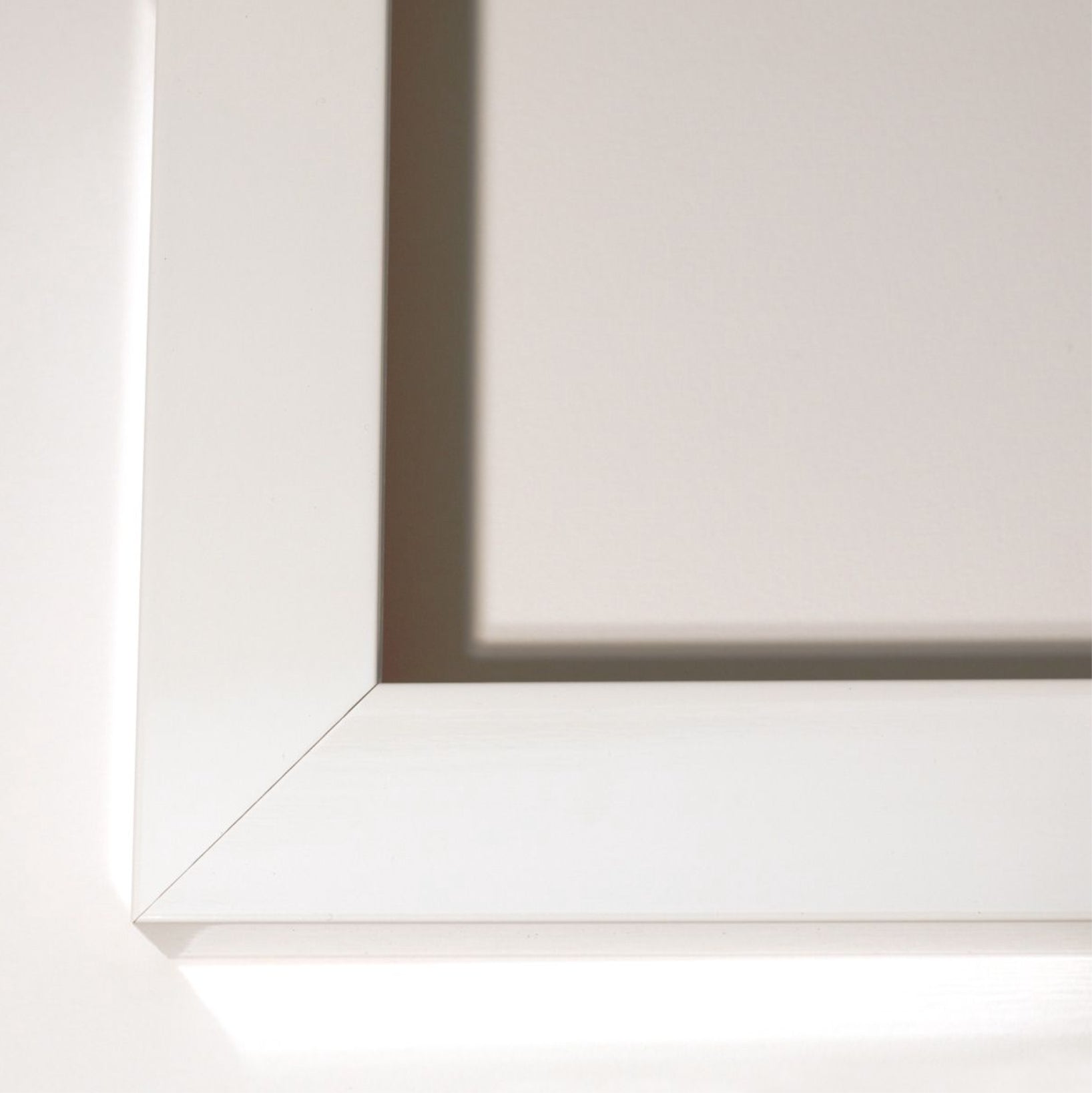 Natural Curiosities Large Abstract Papers Art in White