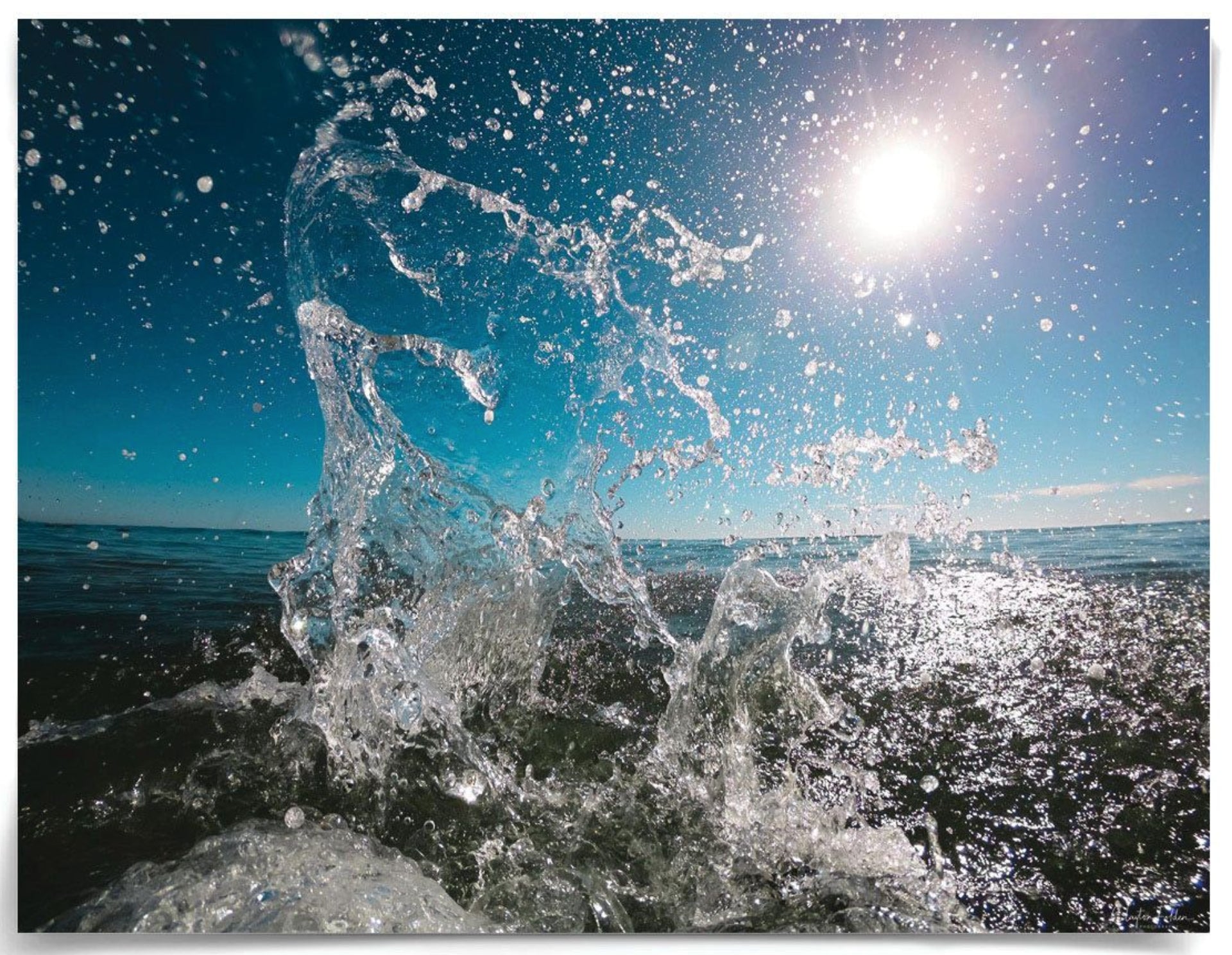 Natural Curiosities Folden Series 2, Wave No. 6