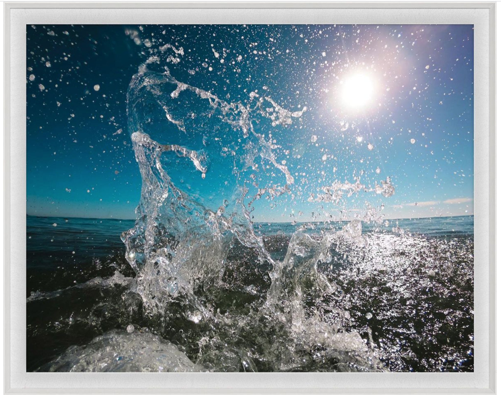 Natural Curiosities Folden Series 2, Wave No. 6