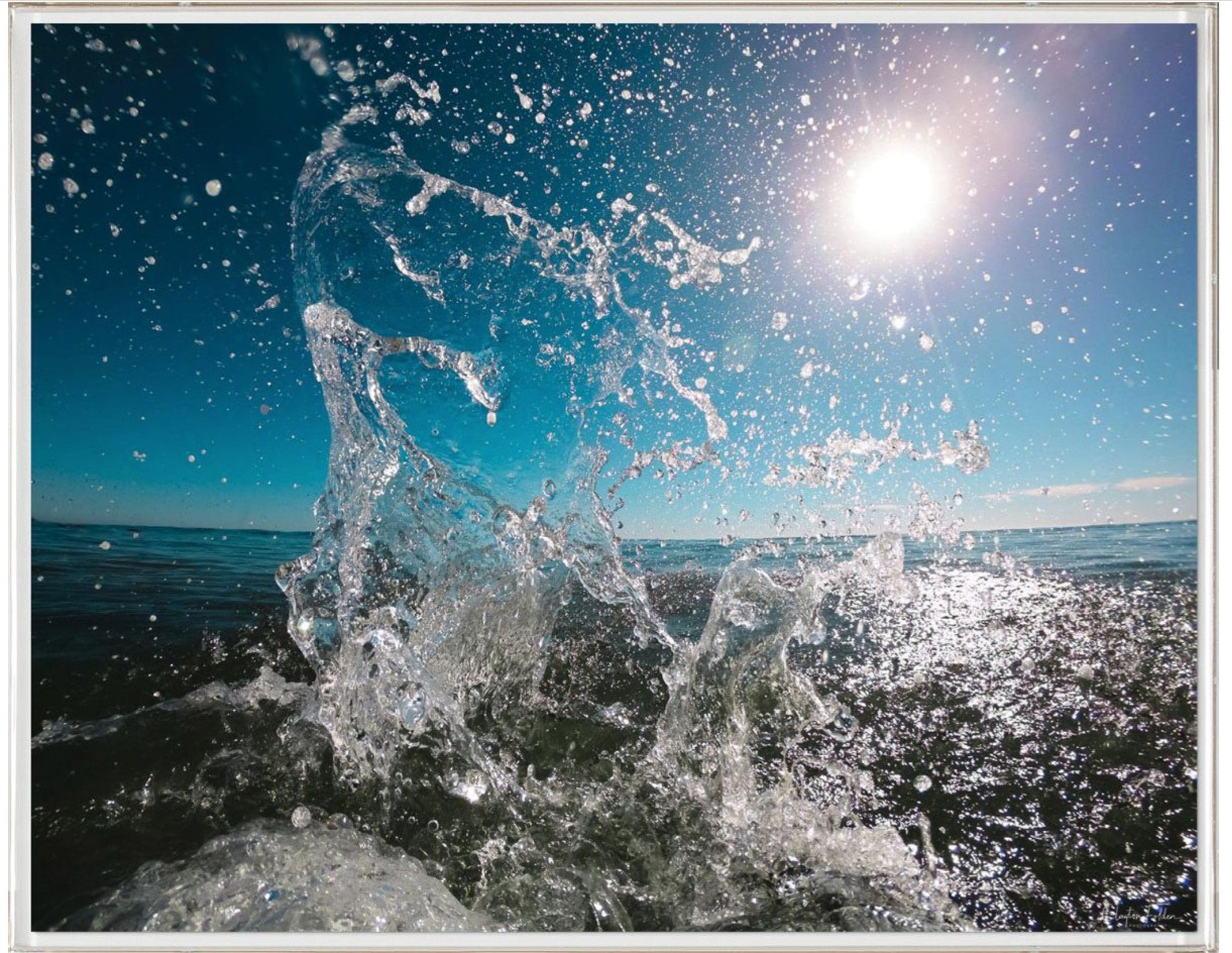 Natural Curiosities Folden Series 2, Wave No. 6