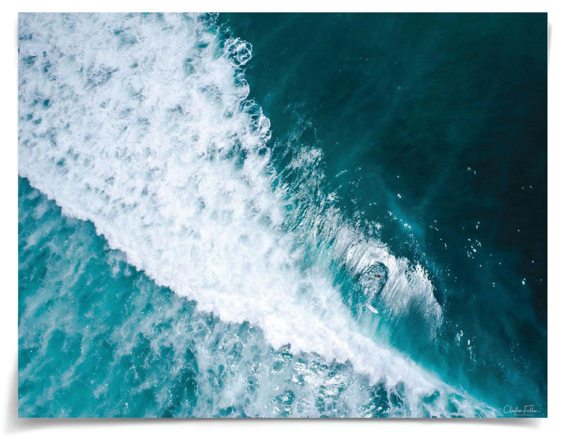 Natural Curiosities Folden Series 2, Wave No. 17