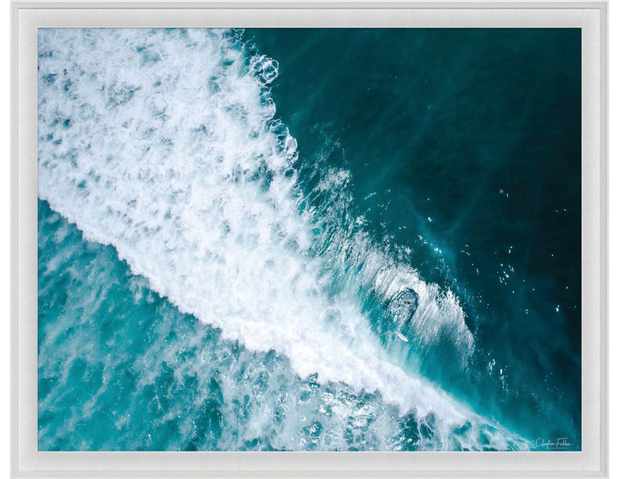 Natural Curiosities Folden Series 2, Wave No. 17