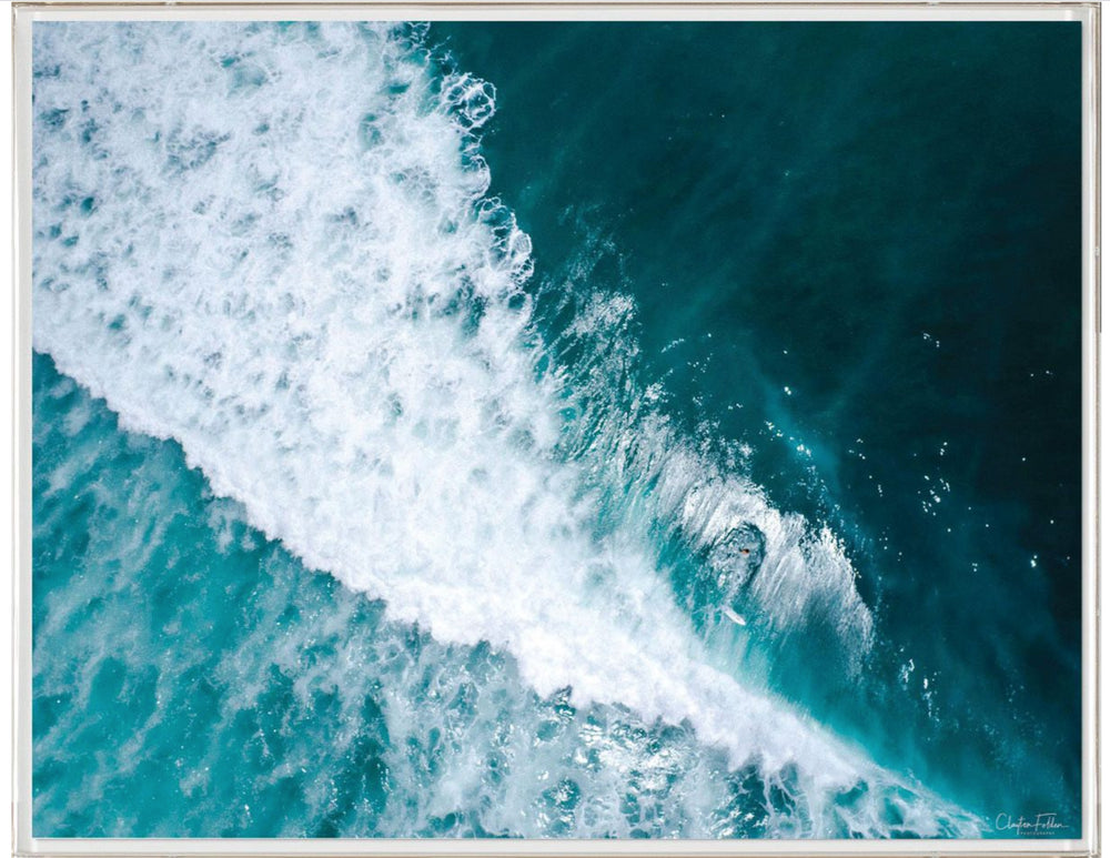 Natural Curiosities Folden Series 2, Wave No. 17