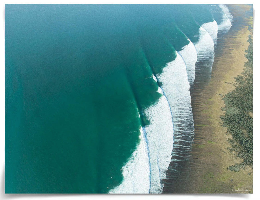 Natural Curiosities Folden Series 2, Wave No. 9