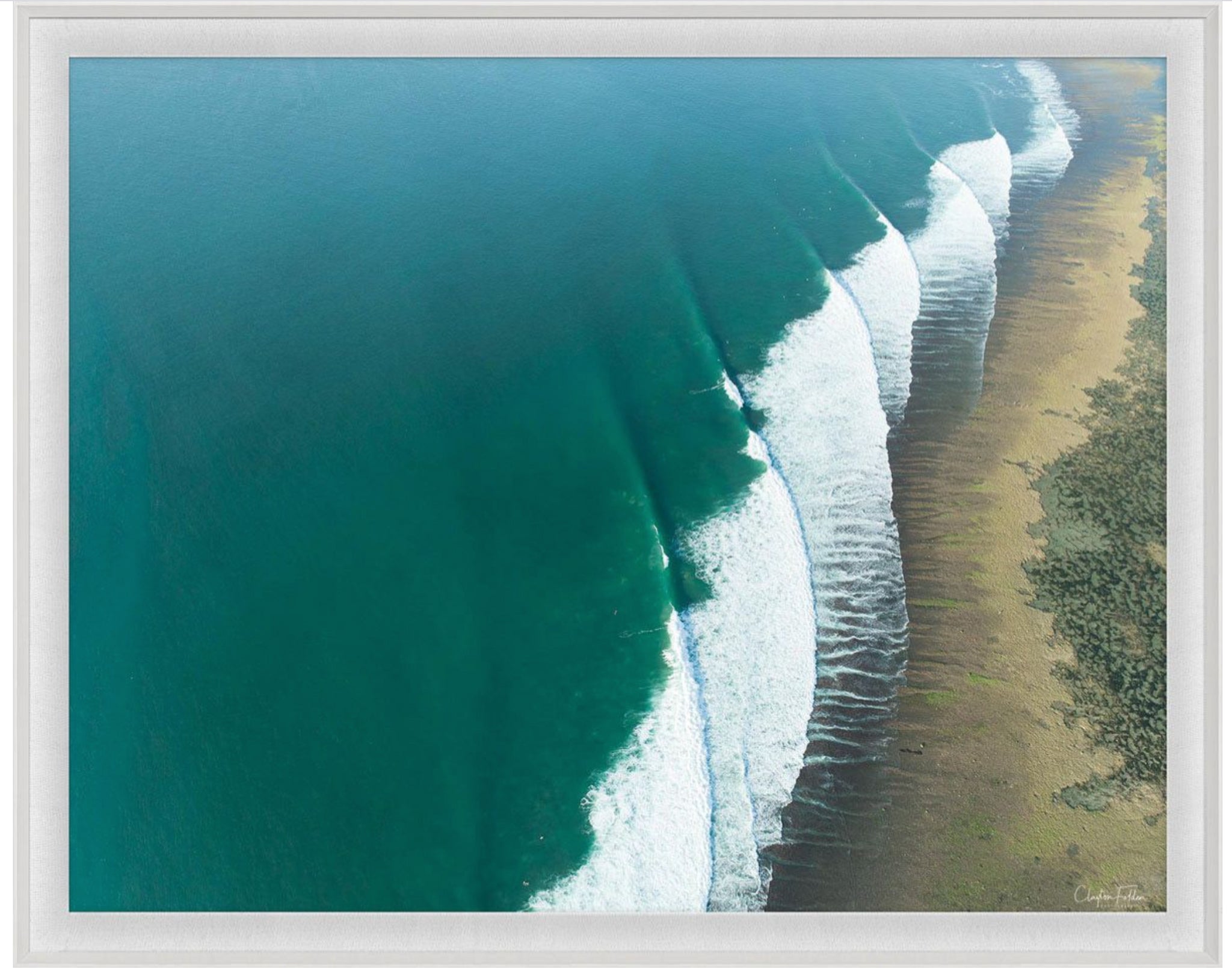 Natural Curiosities Folden Series 2, Wave No. 9