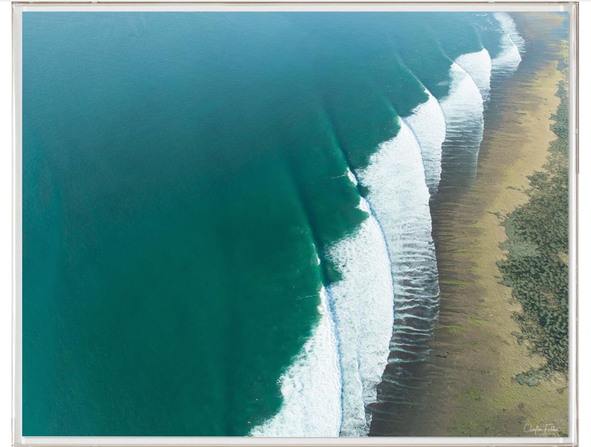 Natural Curiosities Folden Series 2, Wave No. 9