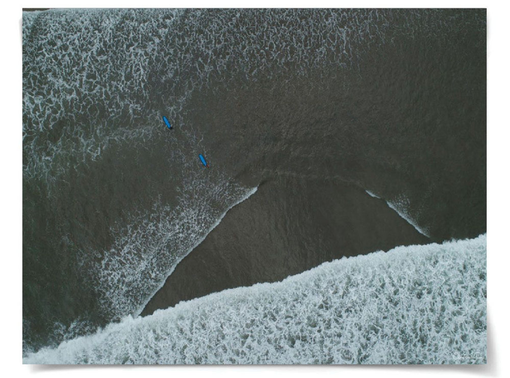 Natural Curiosities Folden Series 2, Wave No. 7