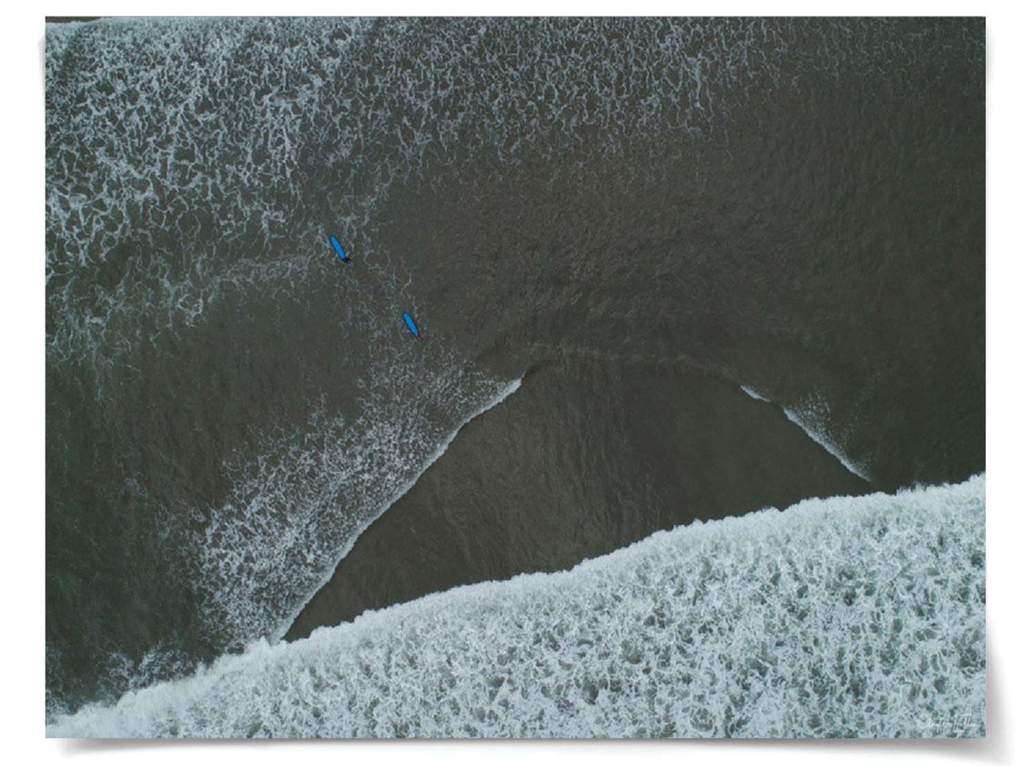 Natural Curiosities Folden Series 2, Wave No. 7