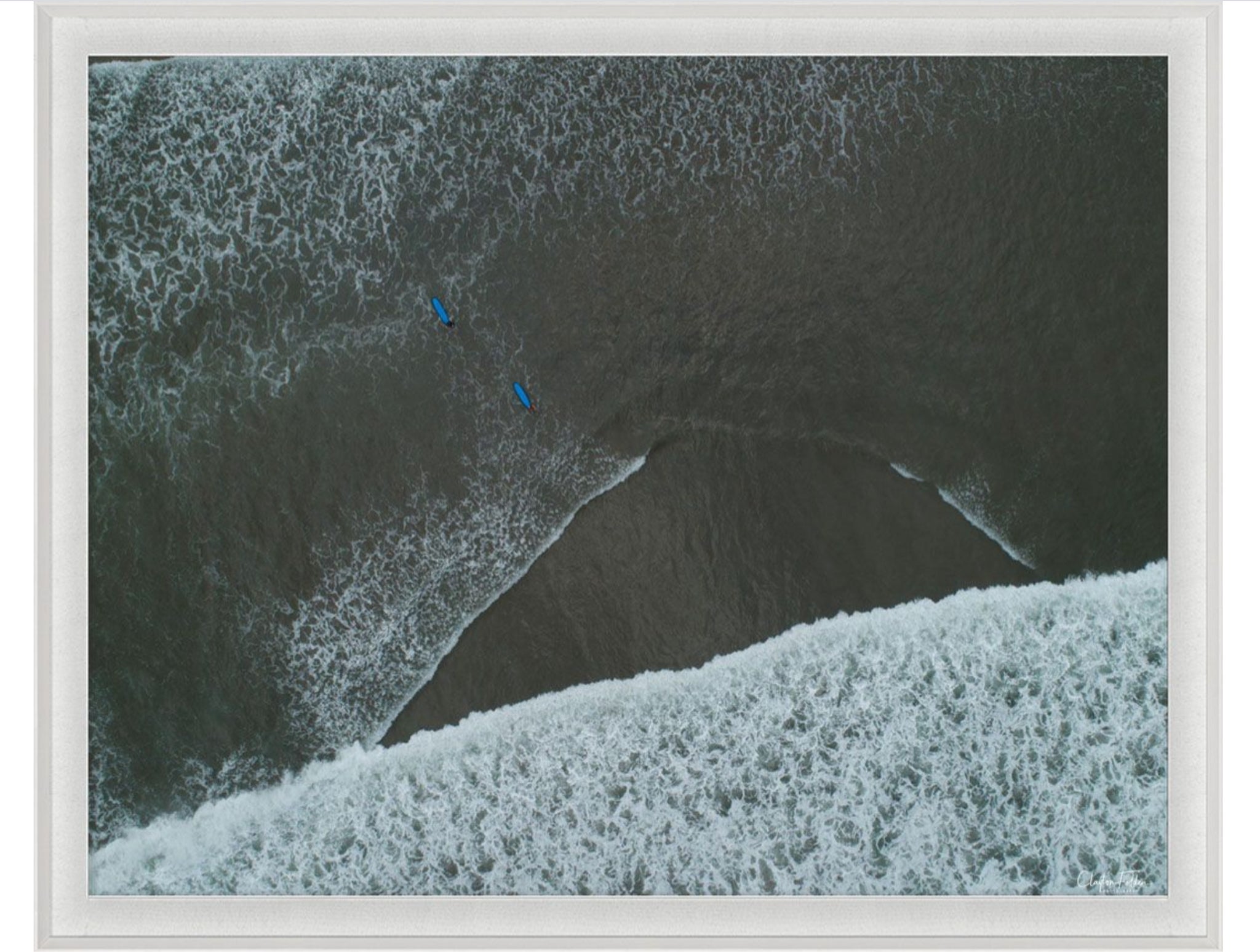 Natural Curiosities Folden Series 2, Wave No. 7