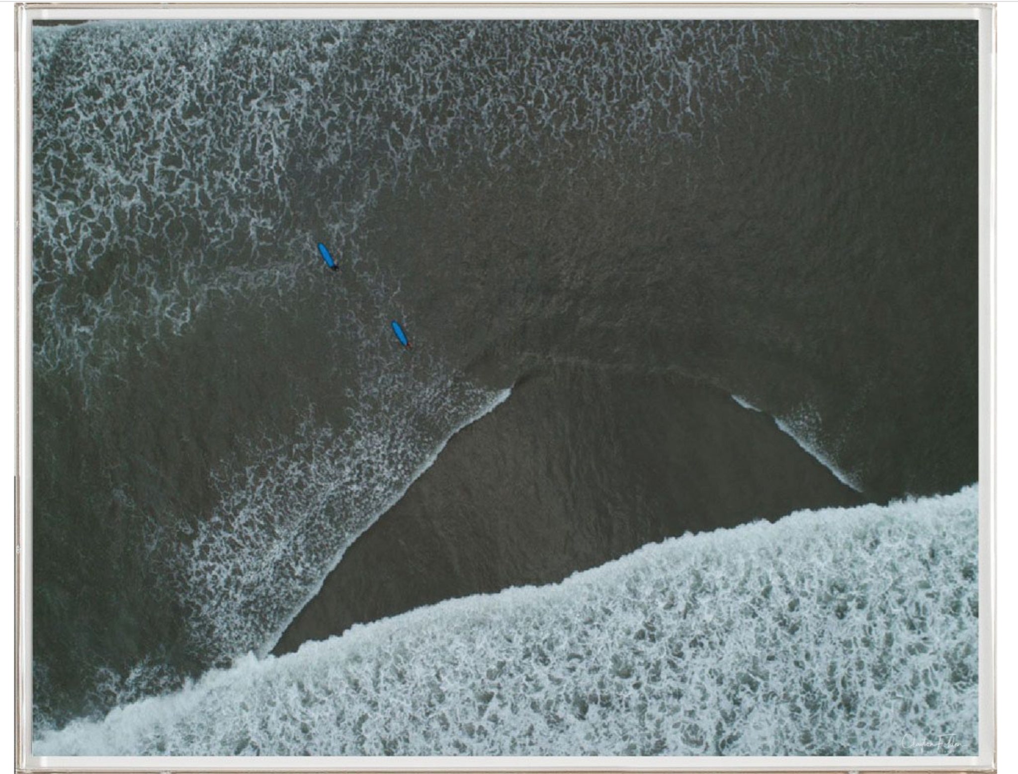 Natural Curiosities Folden Series 2, Wave No. 7