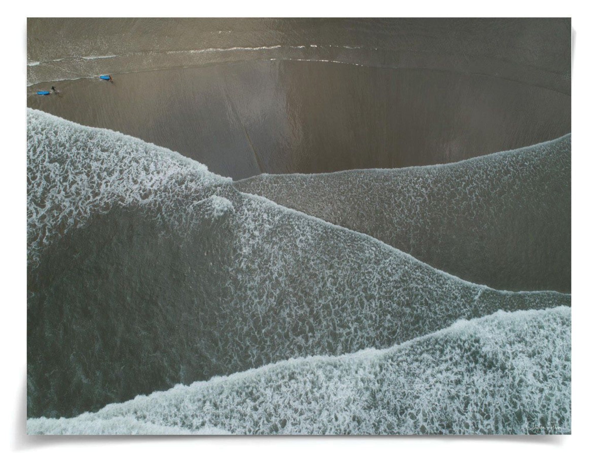 Natural Curiosities Folden Series 2, Wave No. 8