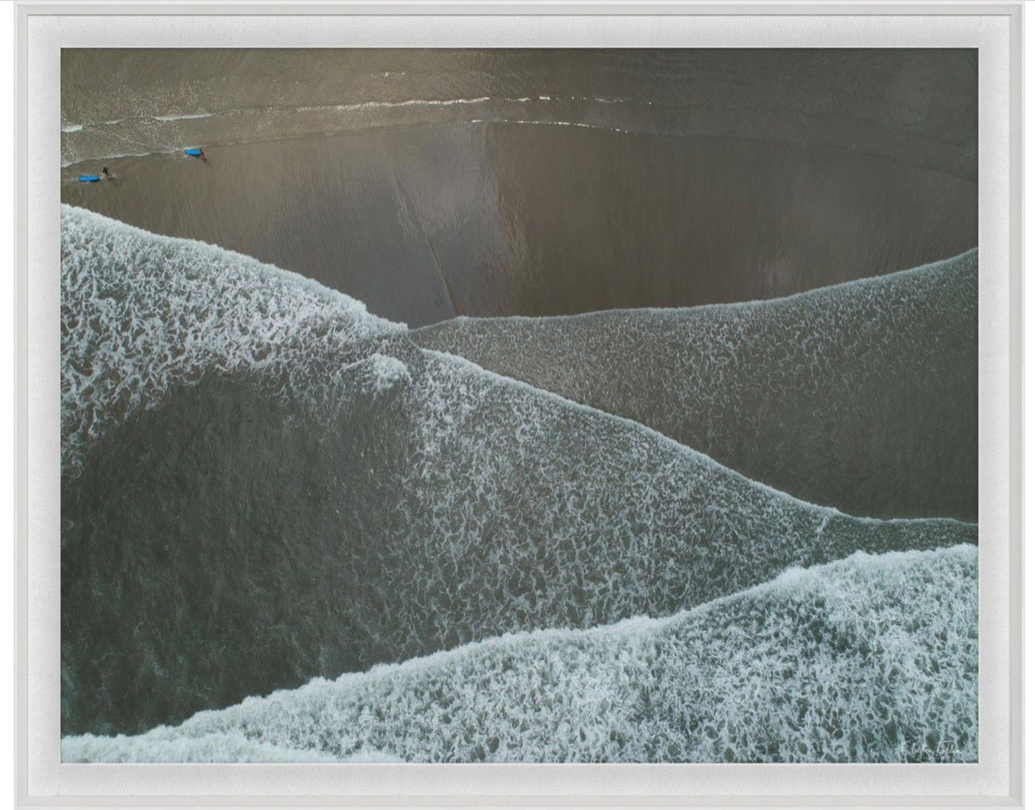 Natural Curiosities Folden Series 2, Wave No. 8