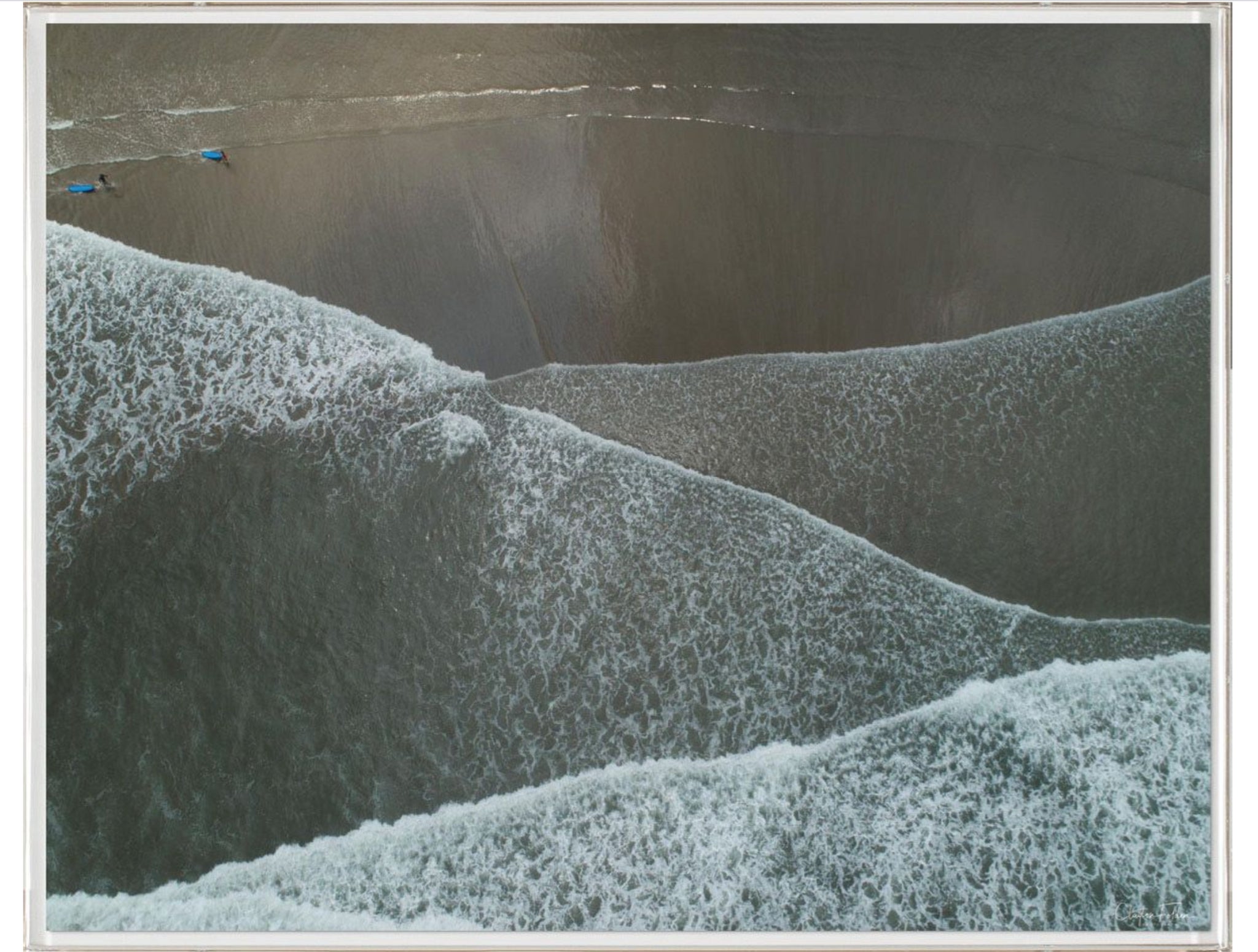 Natural Curiosities Folden Series 2, Wave No. 8