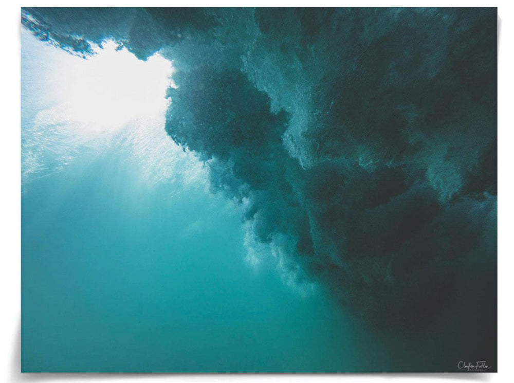 Natural Curiosities Folden Series 2, Ocean No. 3