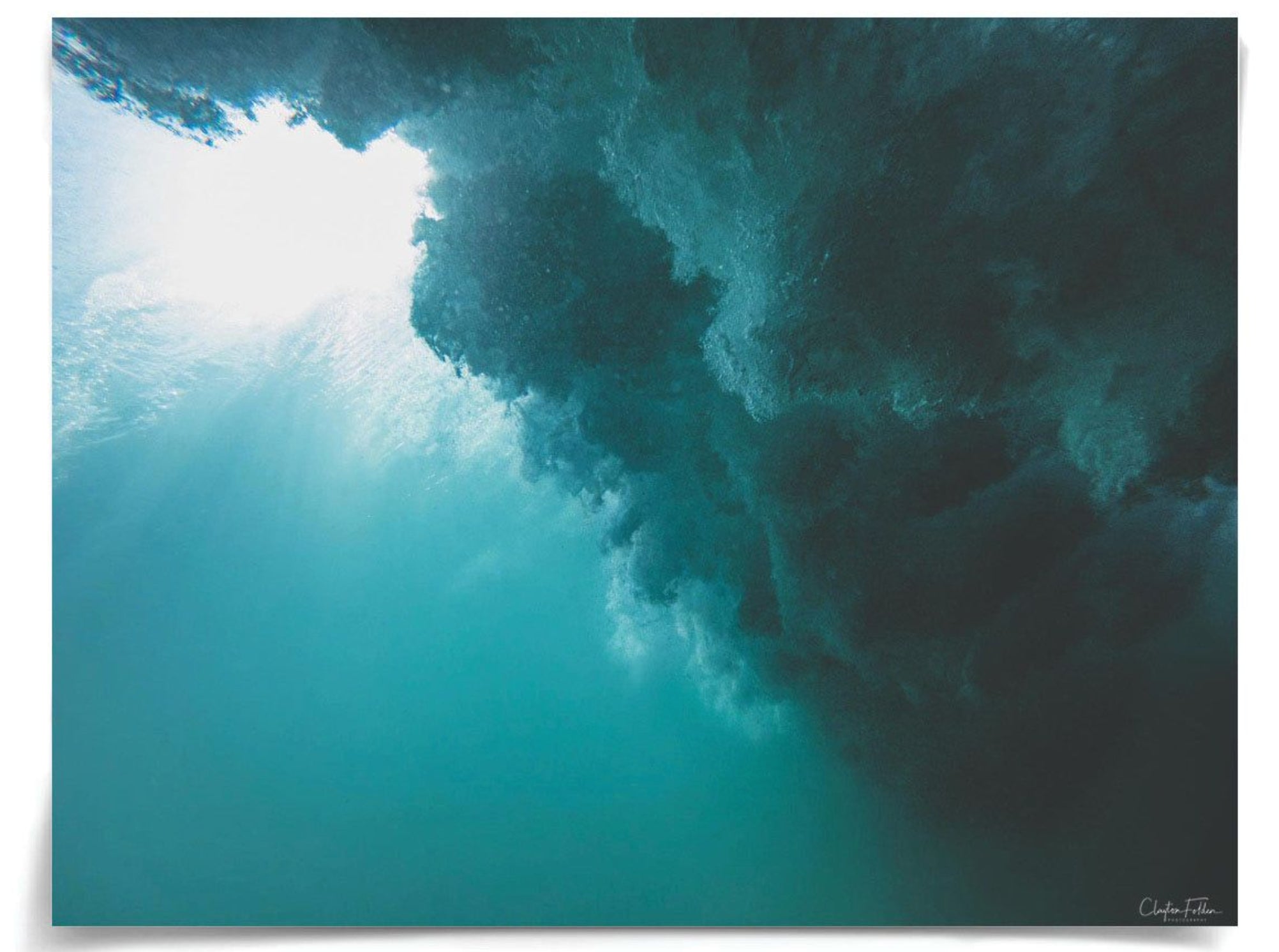 Natural Curiosities Folden Series 2, Ocean No. 3