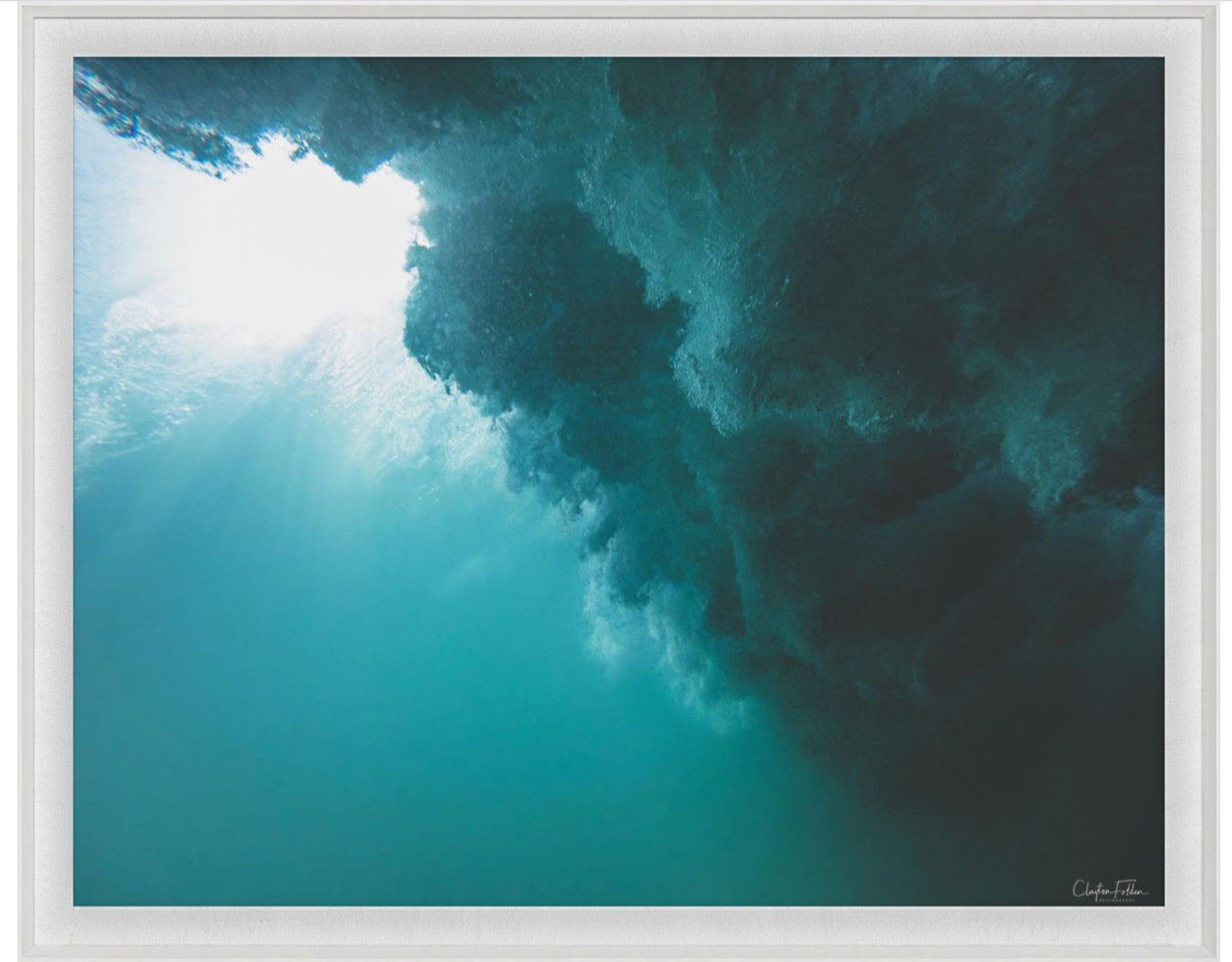 Natural Curiosities Folden Series 2, Ocean No. 3