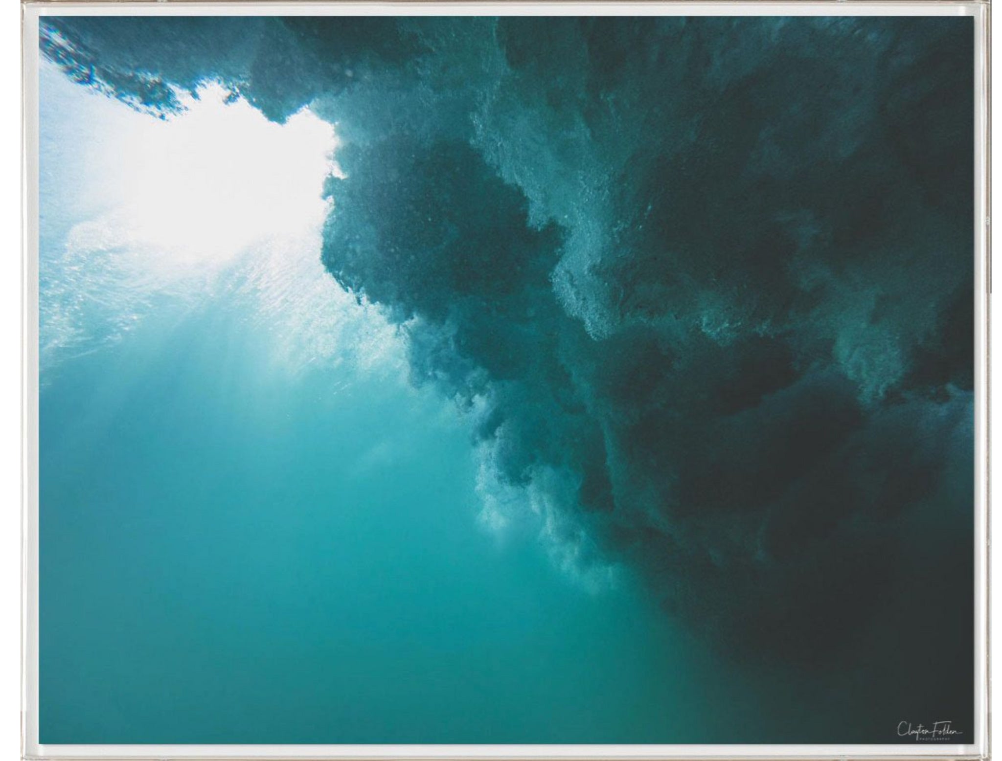 Natural Curiosities Folden Series 2, Ocean No. 3