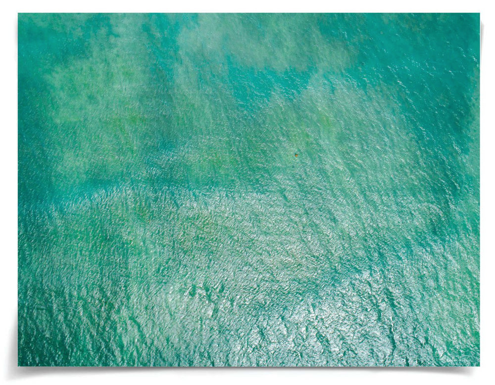 Natural Curiosities Folden Series 2, Ocean No. 4