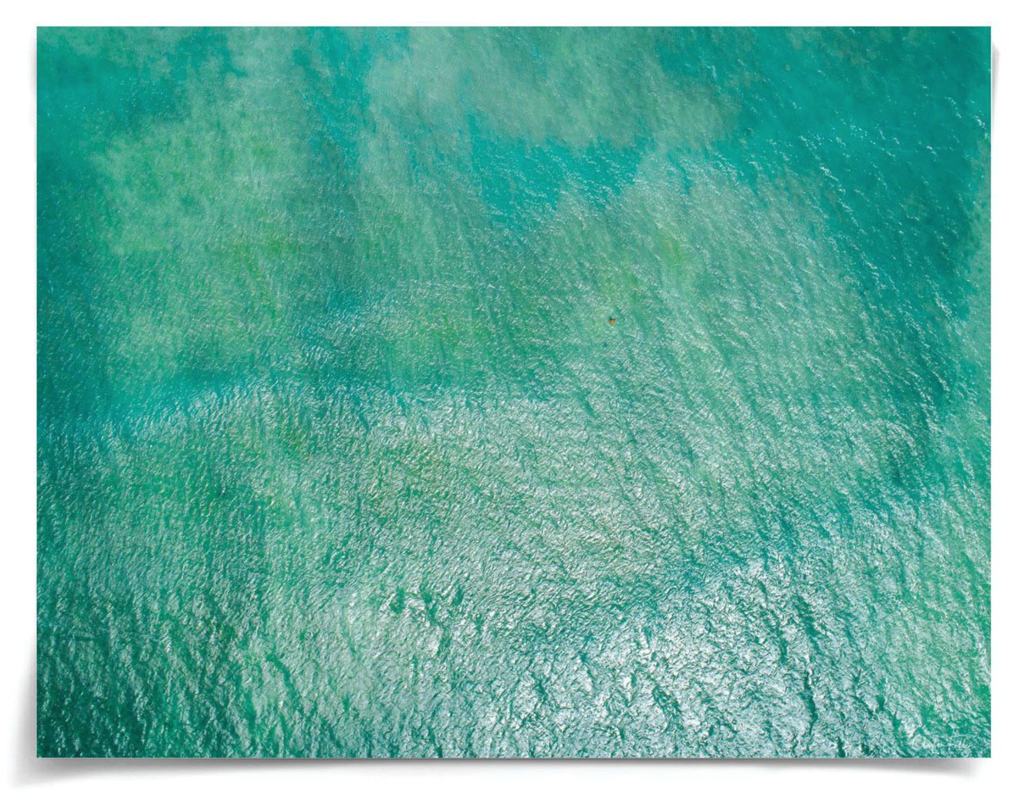 Natural Curiosities Folden Series 2, Ocean No. 4