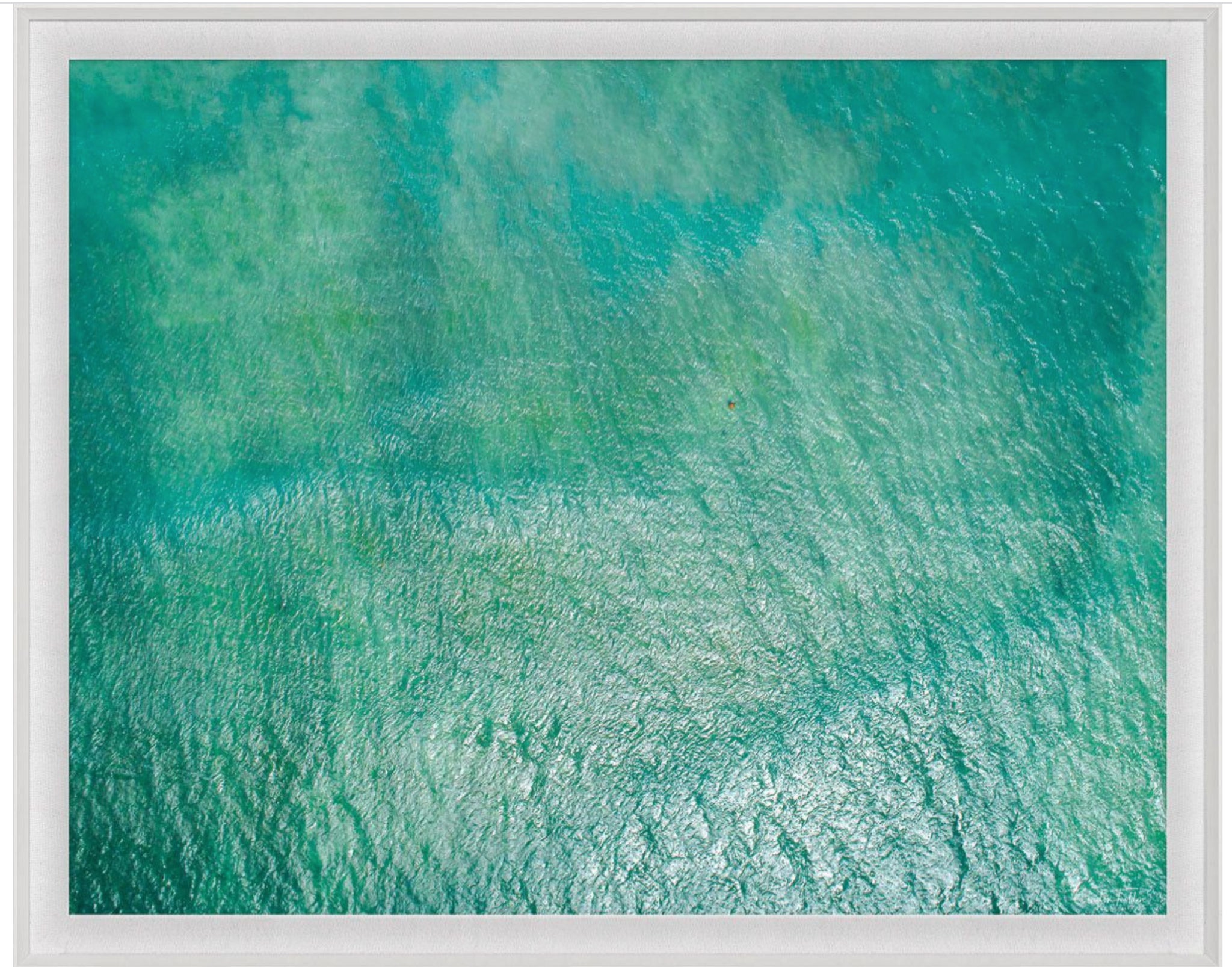 Natural Curiosities Folden Series 2, Ocean No. 4