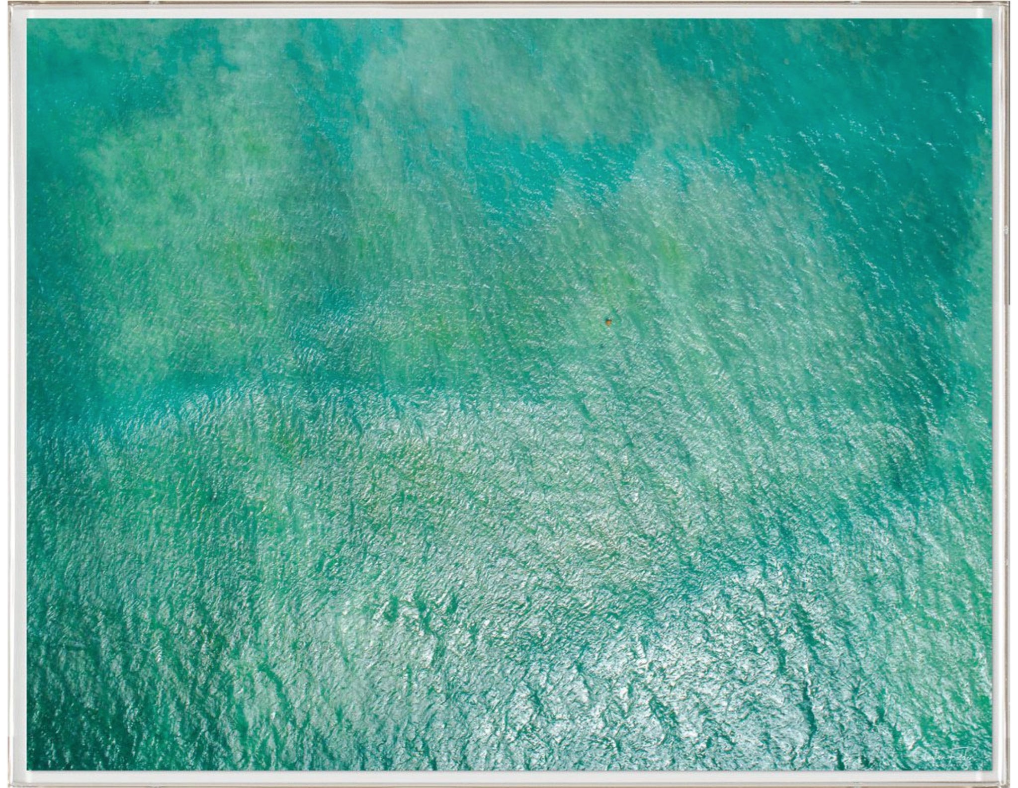 Natural Curiosities Folden Series 2, Ocean No. 4