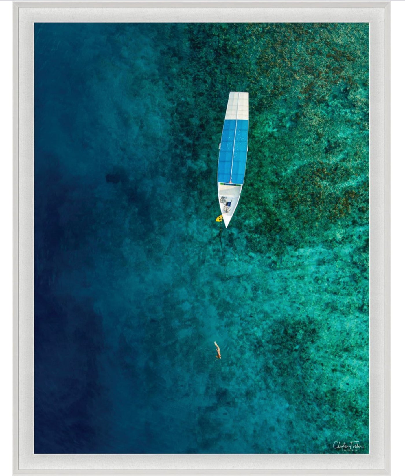 Natural Curiosities Folden Series 2, Ocean No. 12