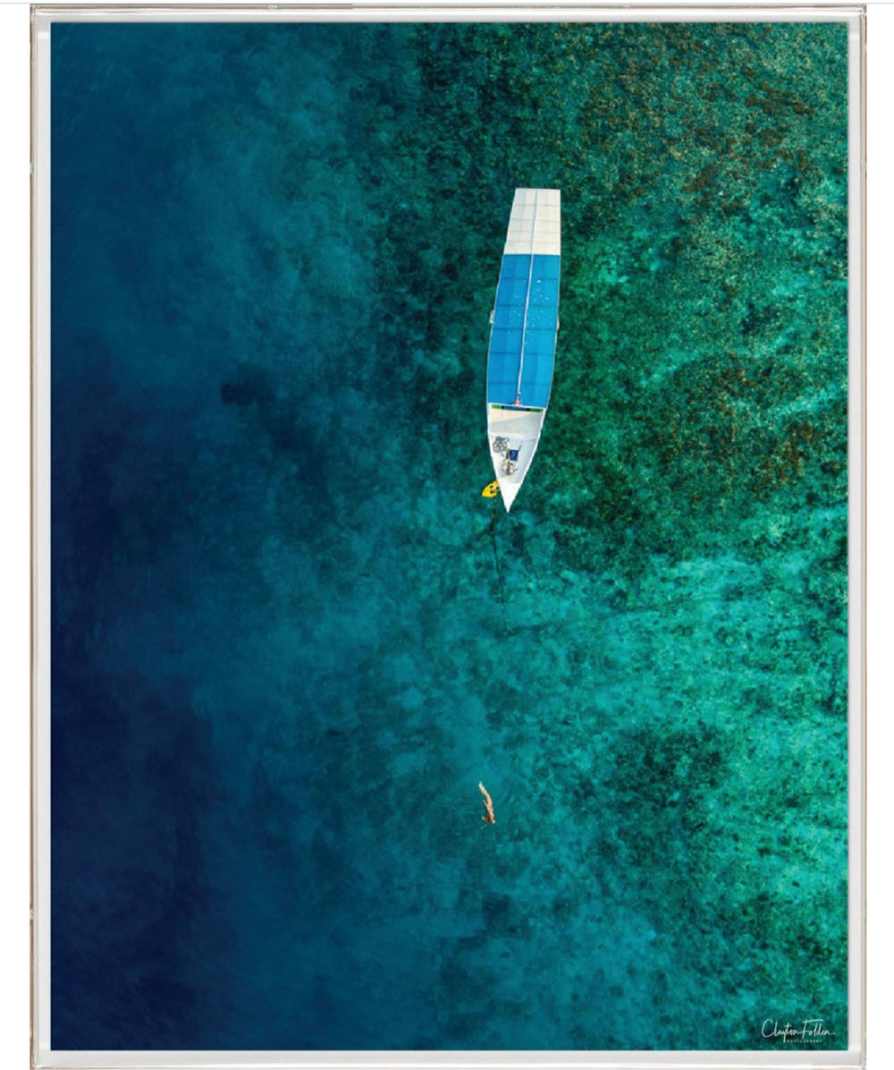 Natural Curiosities Folden Series 2, Ocean No. 12