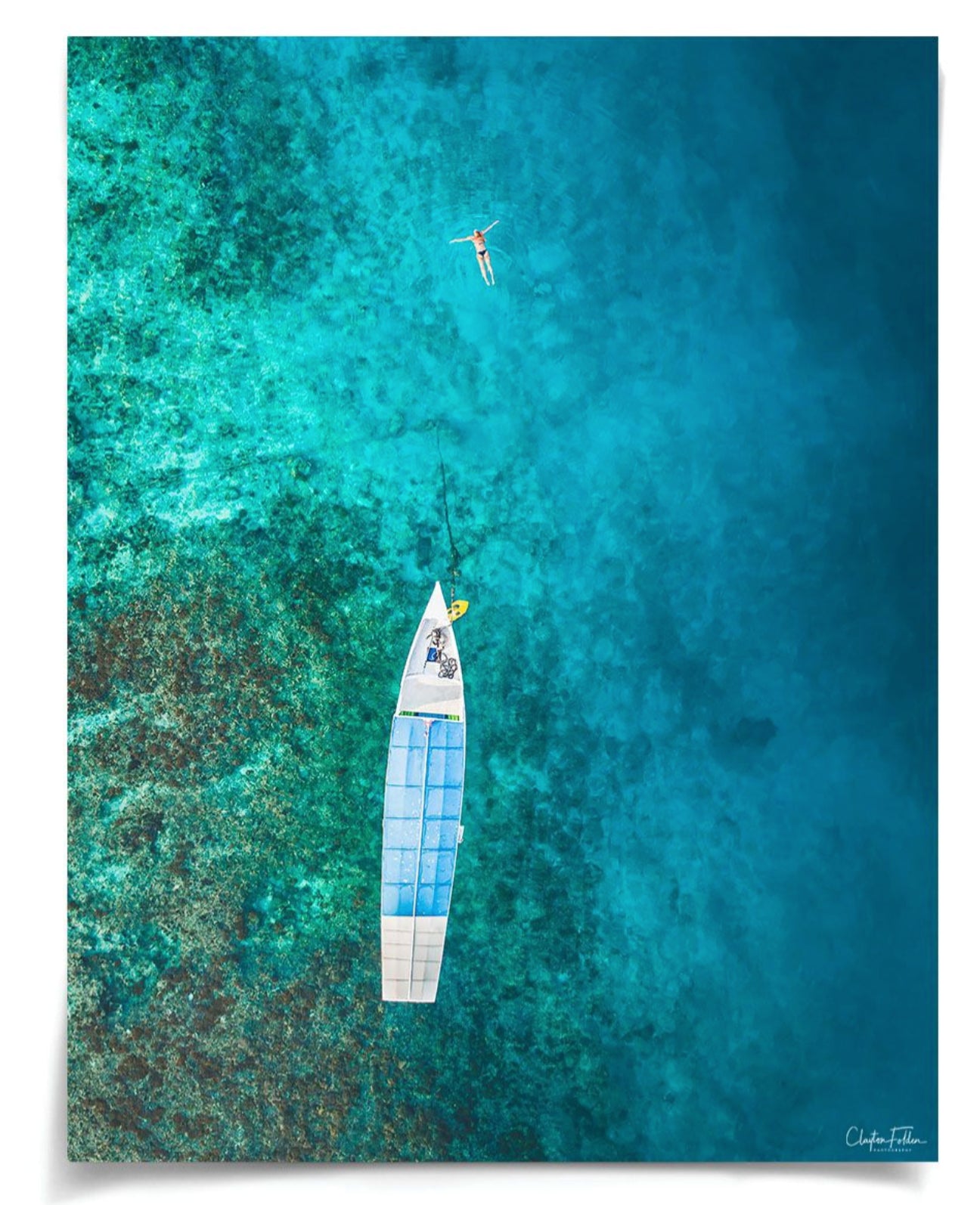 Natural Curiosities Folden Series 2, Ocean No. 13