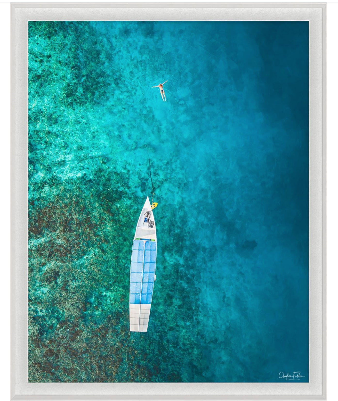 Natural Curiosities Folden Series 2, Ocean No. 13