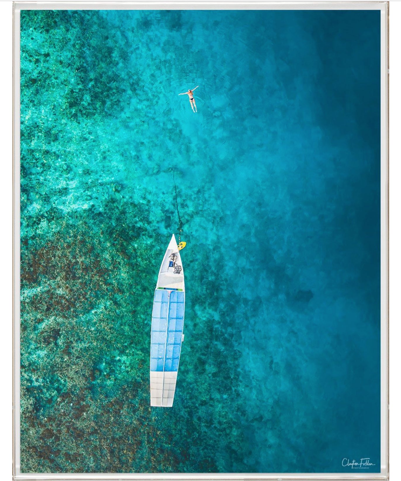 Natural Curiosities Folden Series 2, Ocean No. 13