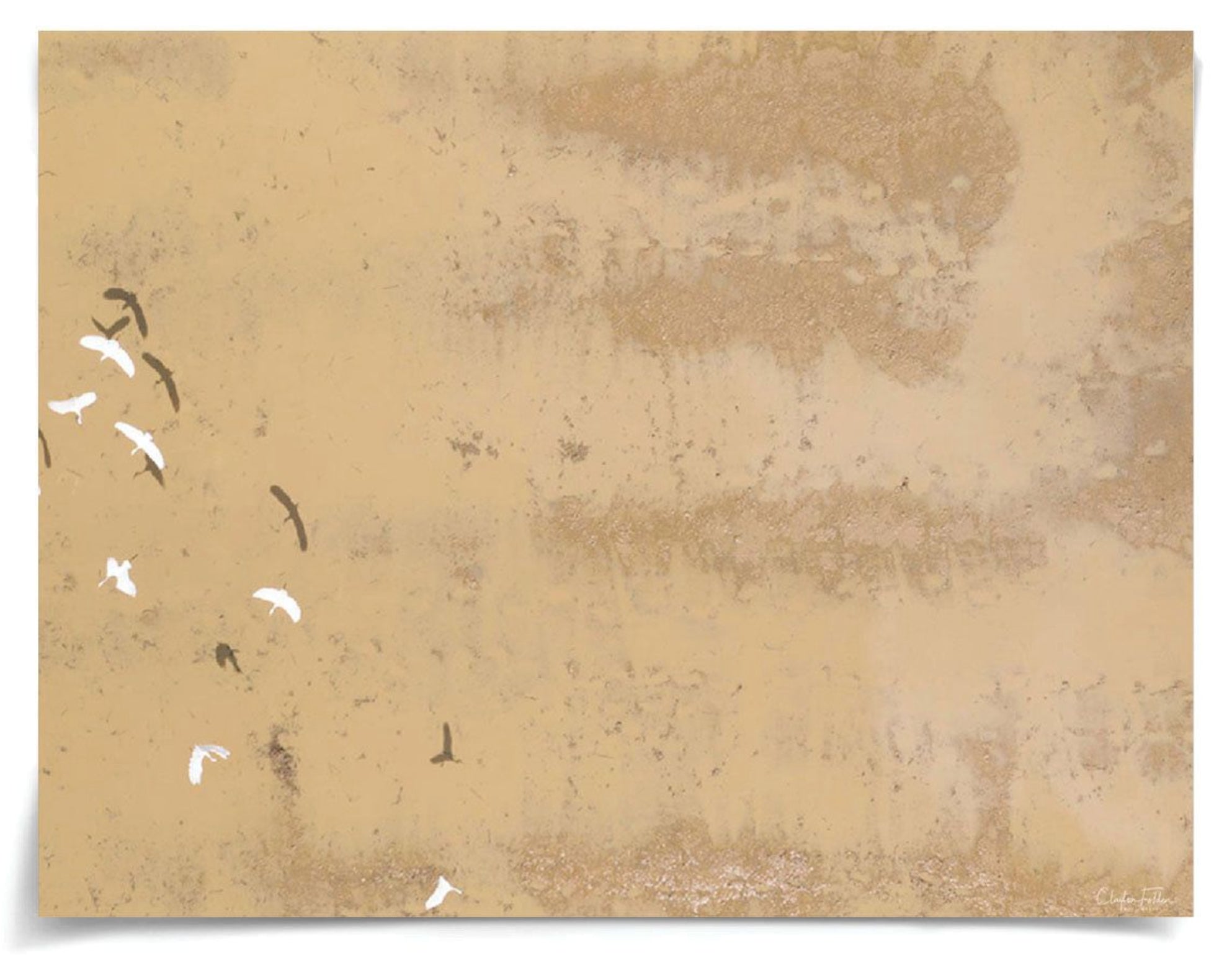 Natural Curiosities Folden Series 2, Beach No. 4 Photograph